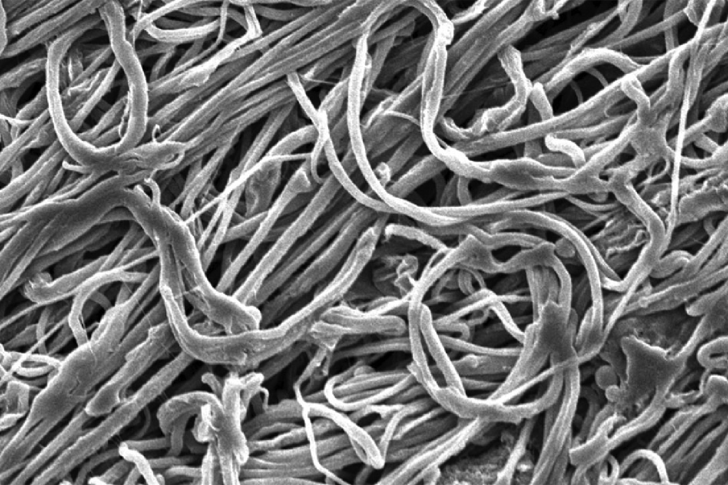 mit nano fibers ultra strong nanofibers 01