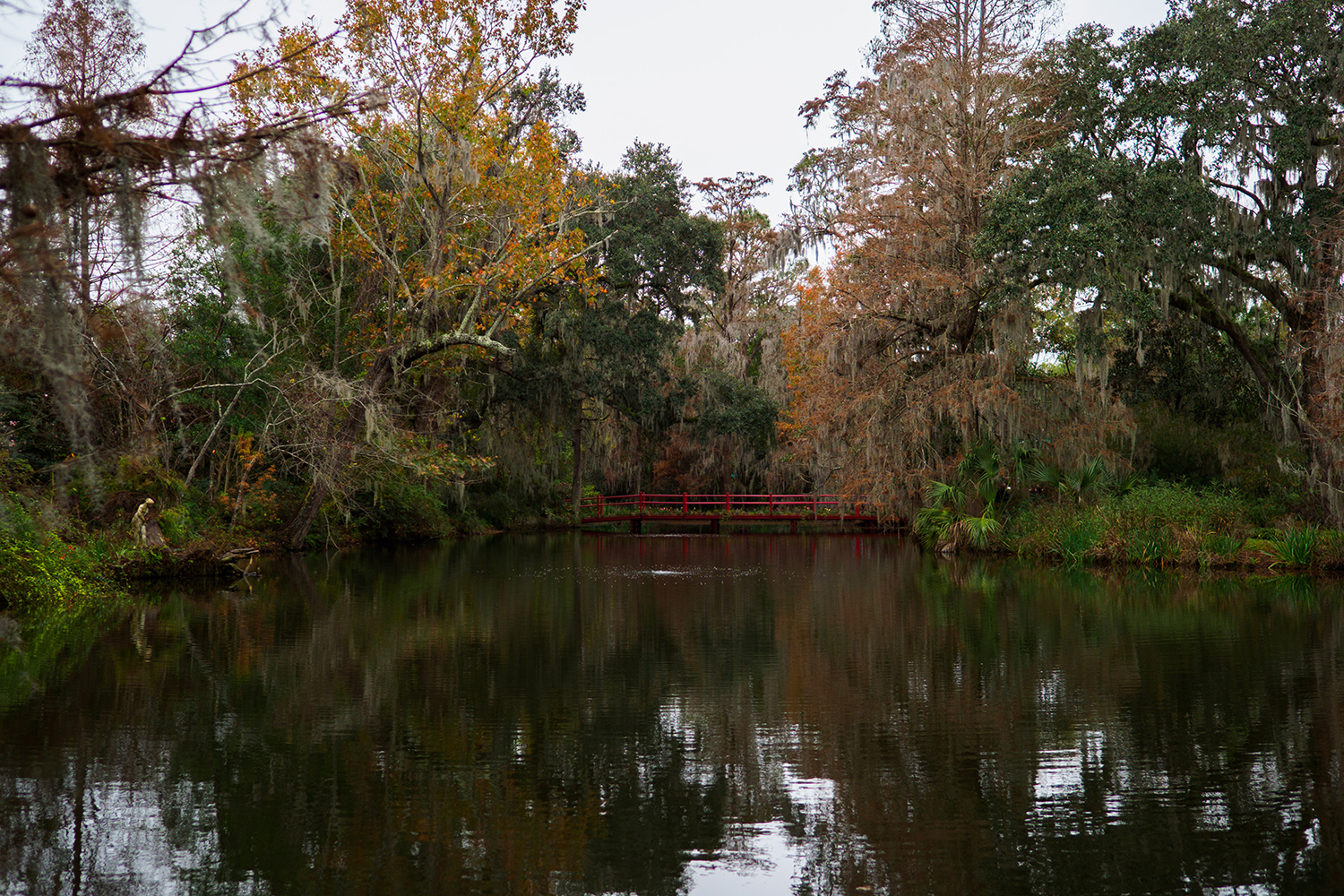 Olympus M.Zuiko 17mm F1.2 Pro sample bridge