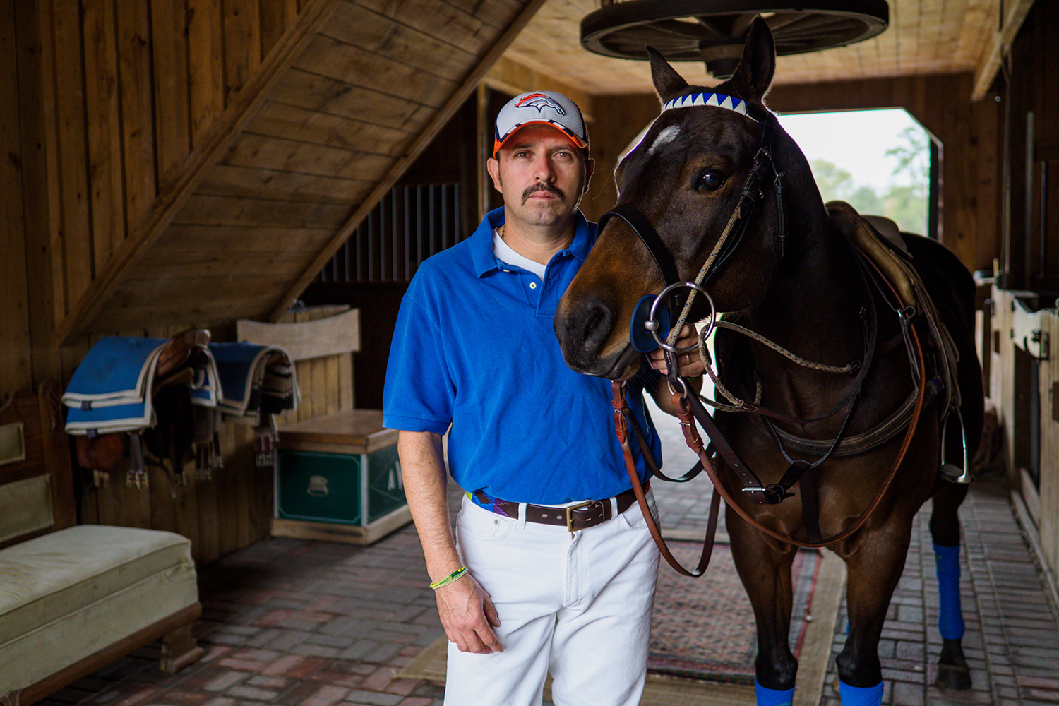 Olympus M.Zuiko 17mm F1.2 Pro sample horse portrait