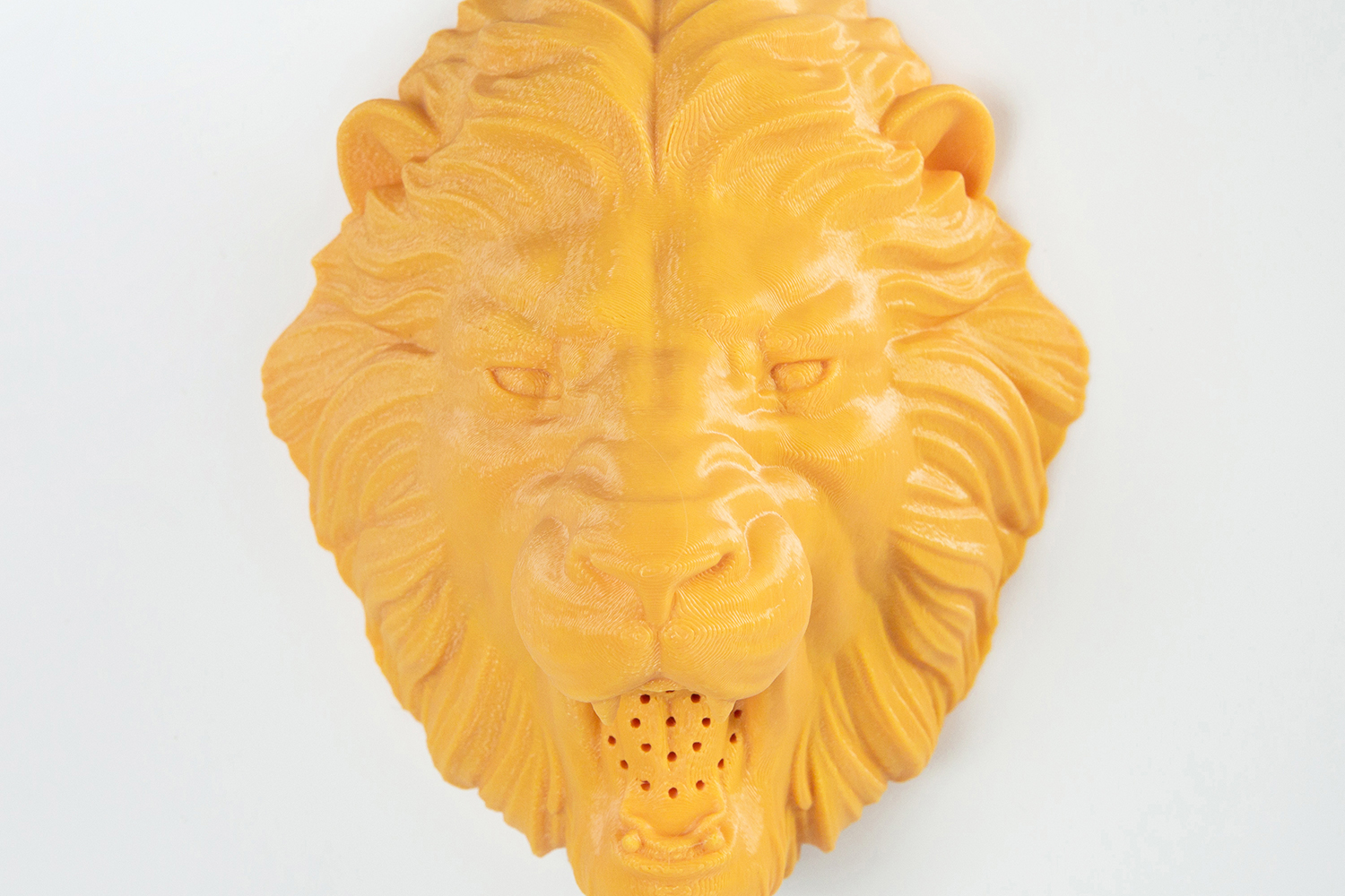 zooheads showerheads lion 6