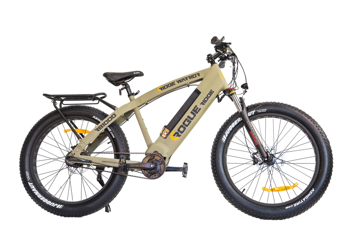 Rogue Ridge Fat Tire eBike