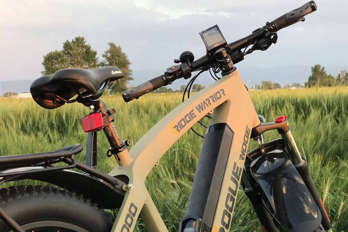 Rogue Ridge Fat Tire eBike