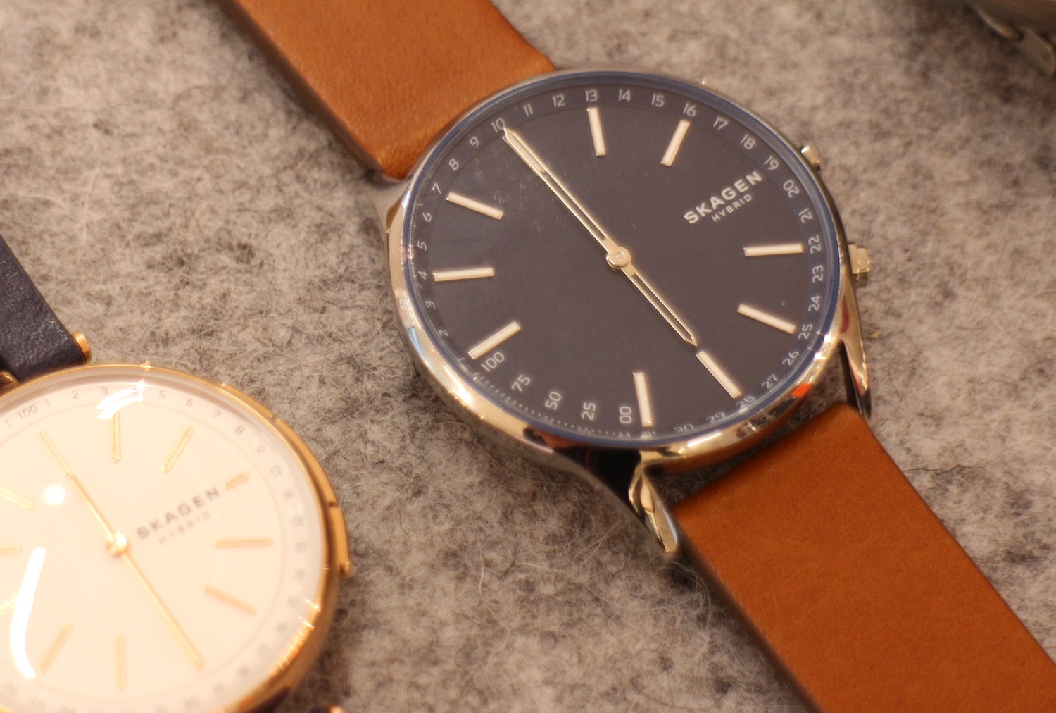 Skagen Holst