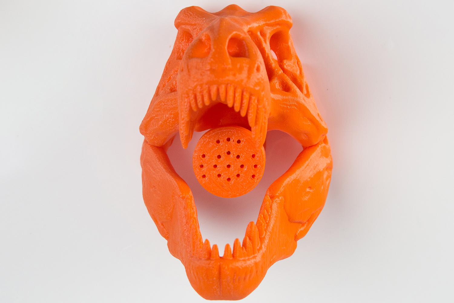 zooheads showerheads trexskull 6