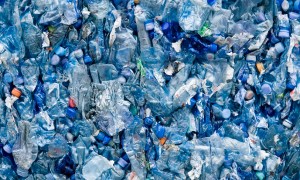 enzyme degrades pet plastic gettyimages 157383990