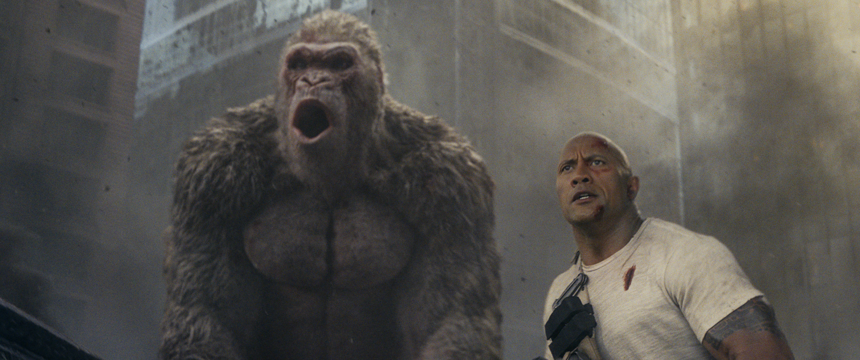 The Rock stands next to a giant gorilla.