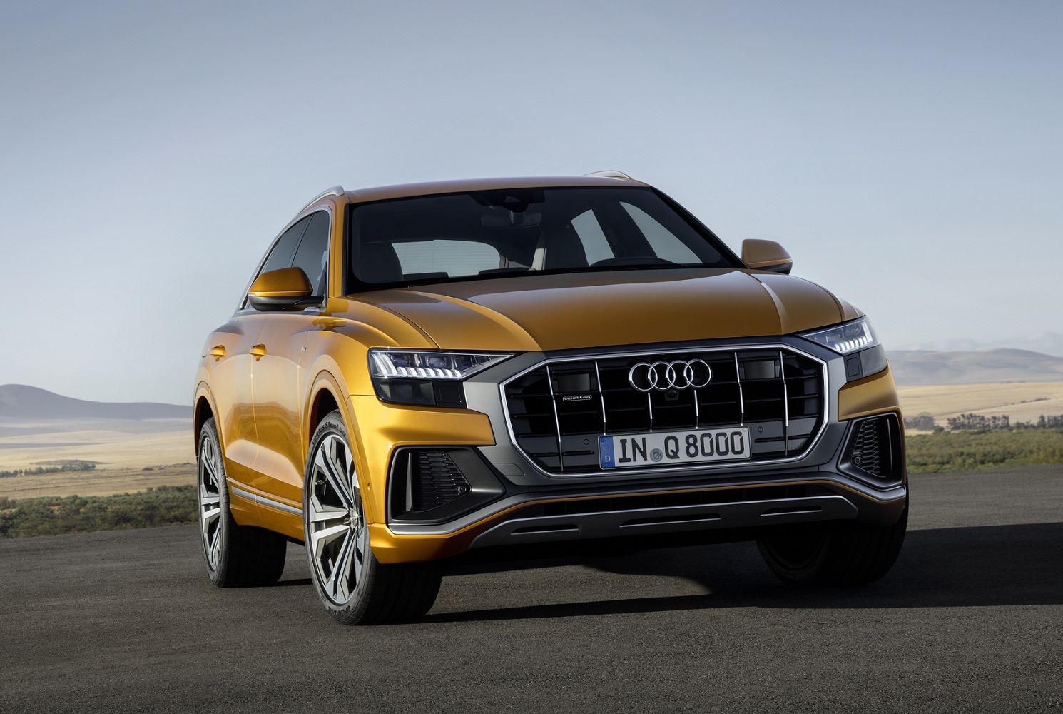 2018 Audi Q8