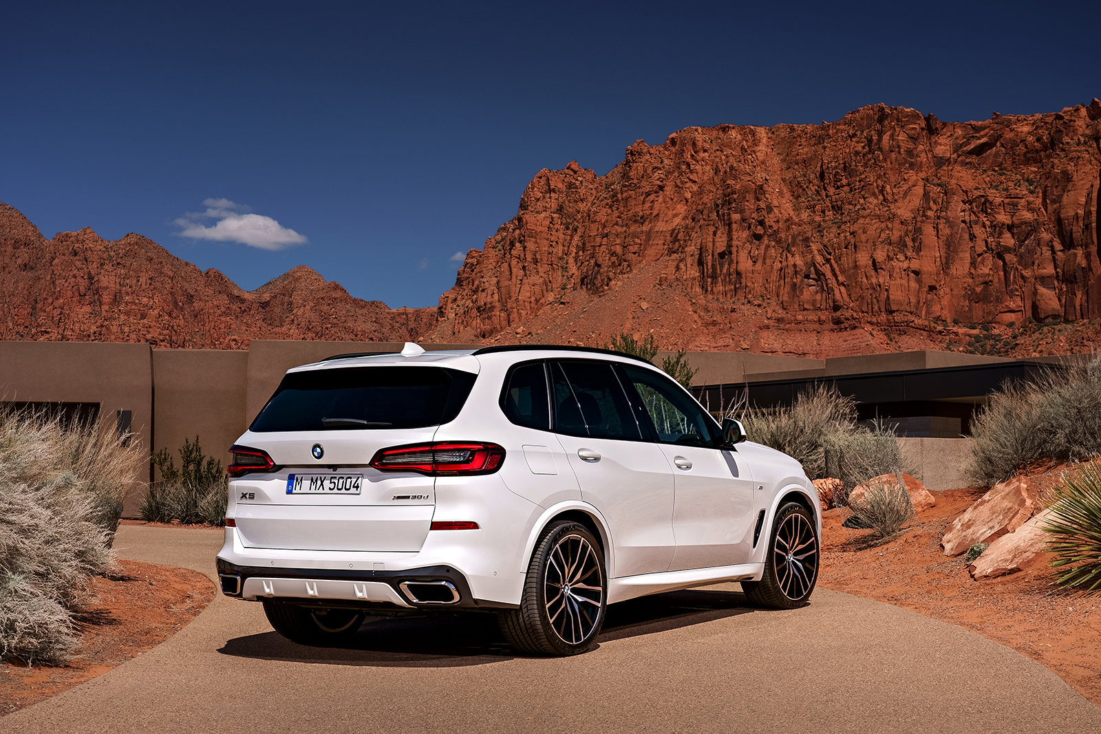 2019 bmw x5 details revealed  11