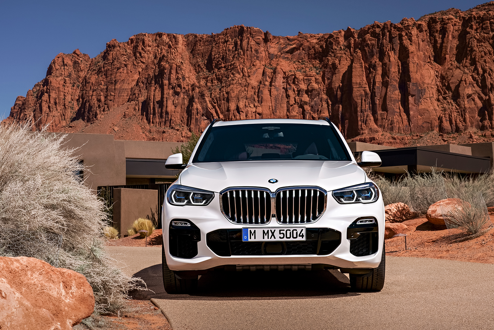 2019 bmw x5 details revealed  13