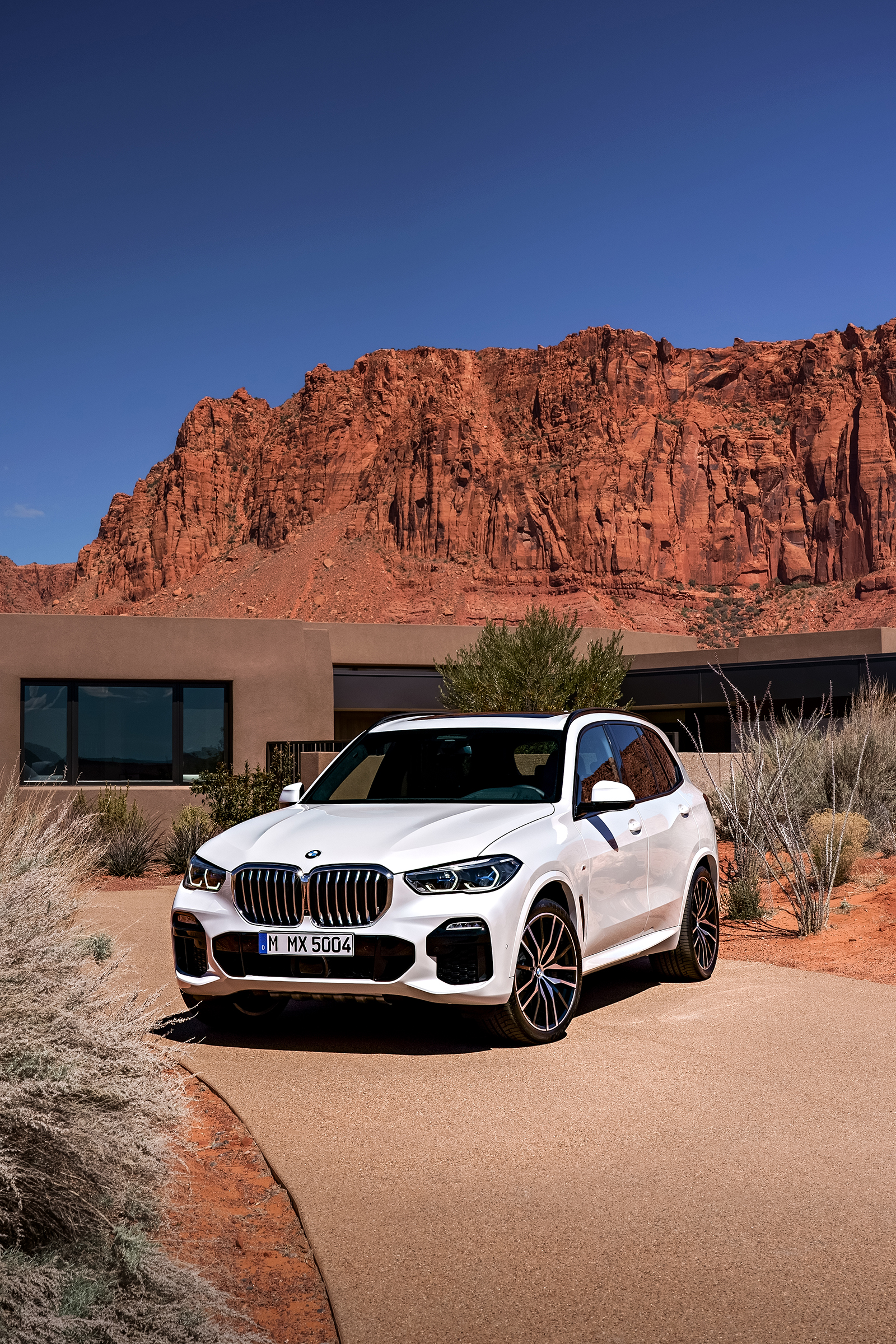 2019 bmw x5 details revealed  15