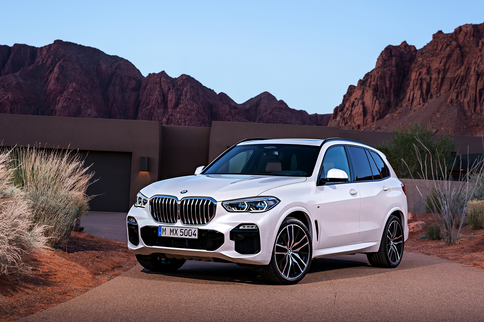 2019 bmw x5 details revealed  17