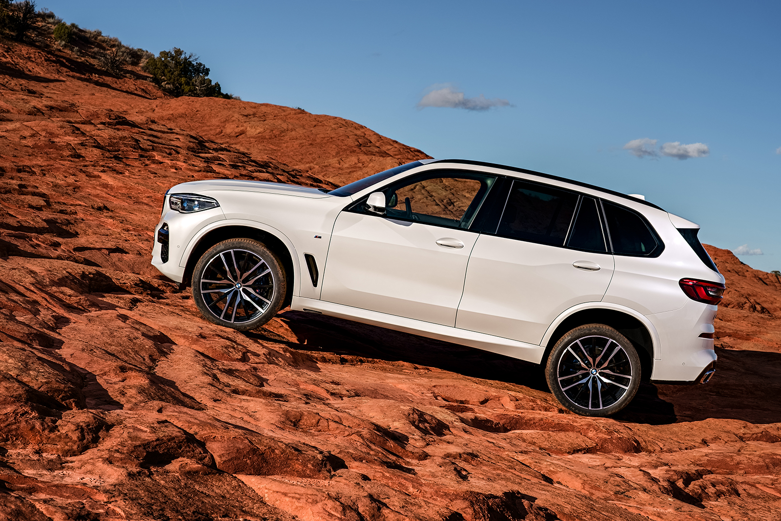 2019 bmw x5 details revealed  3