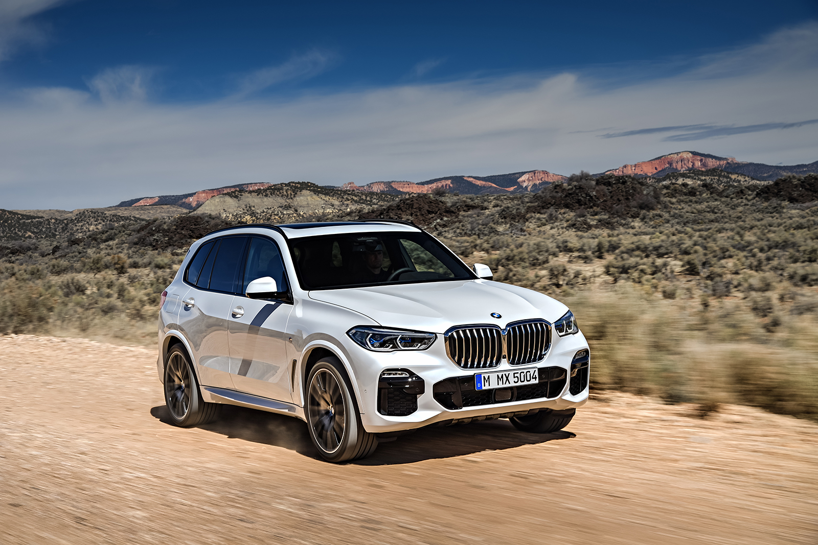 2019 bmw x5 details revealed  4