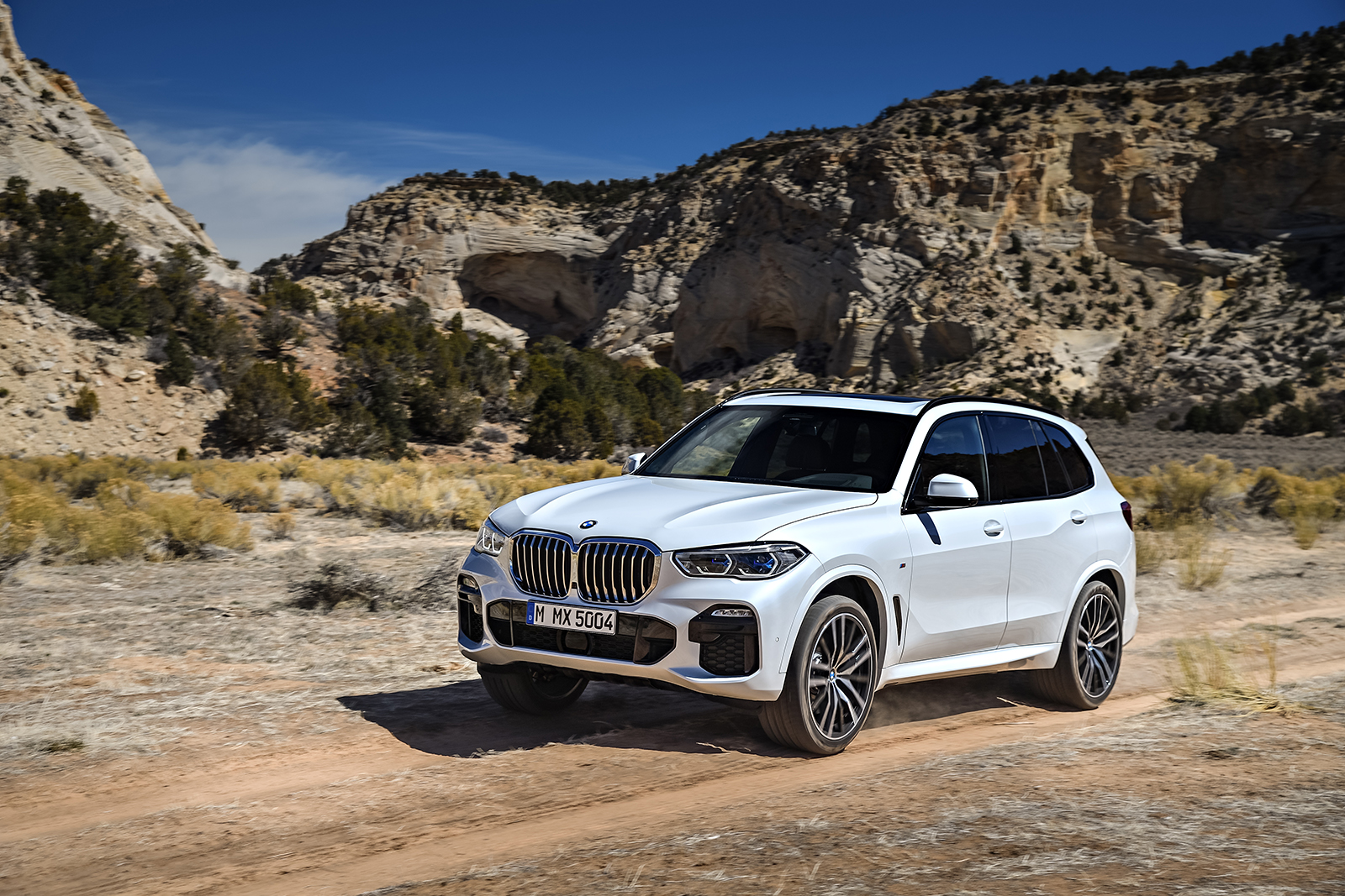 2019 bmw x5 details revealed  5