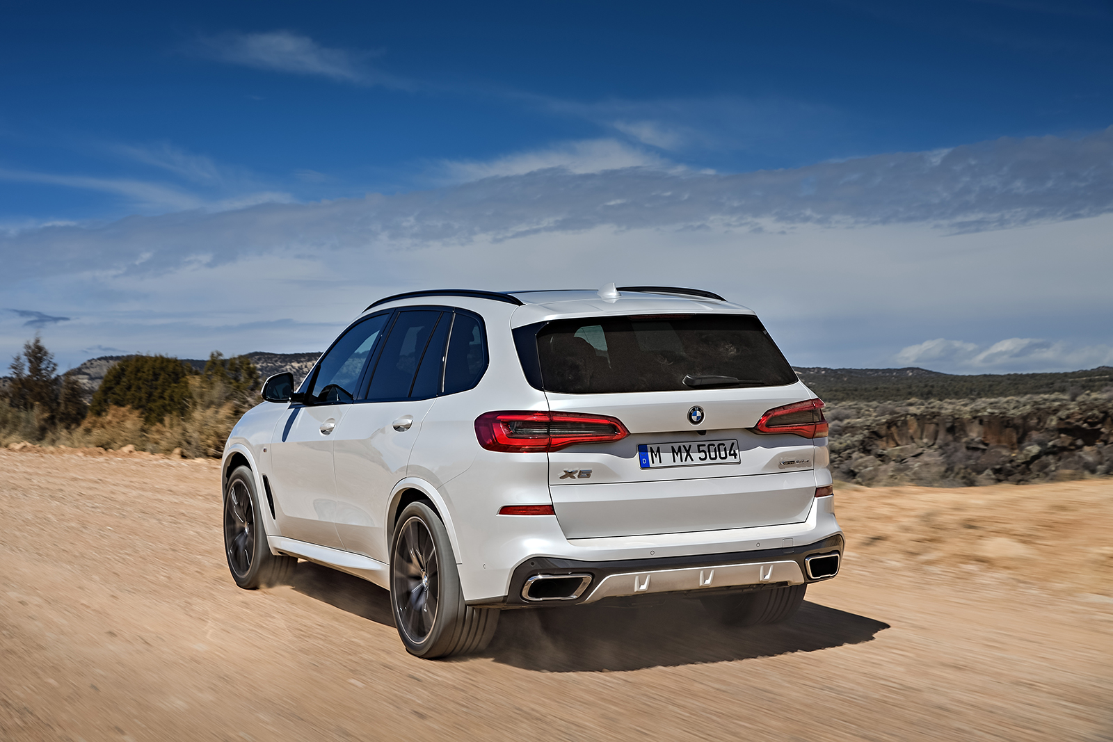 2019 bmw x5 details revealed  6