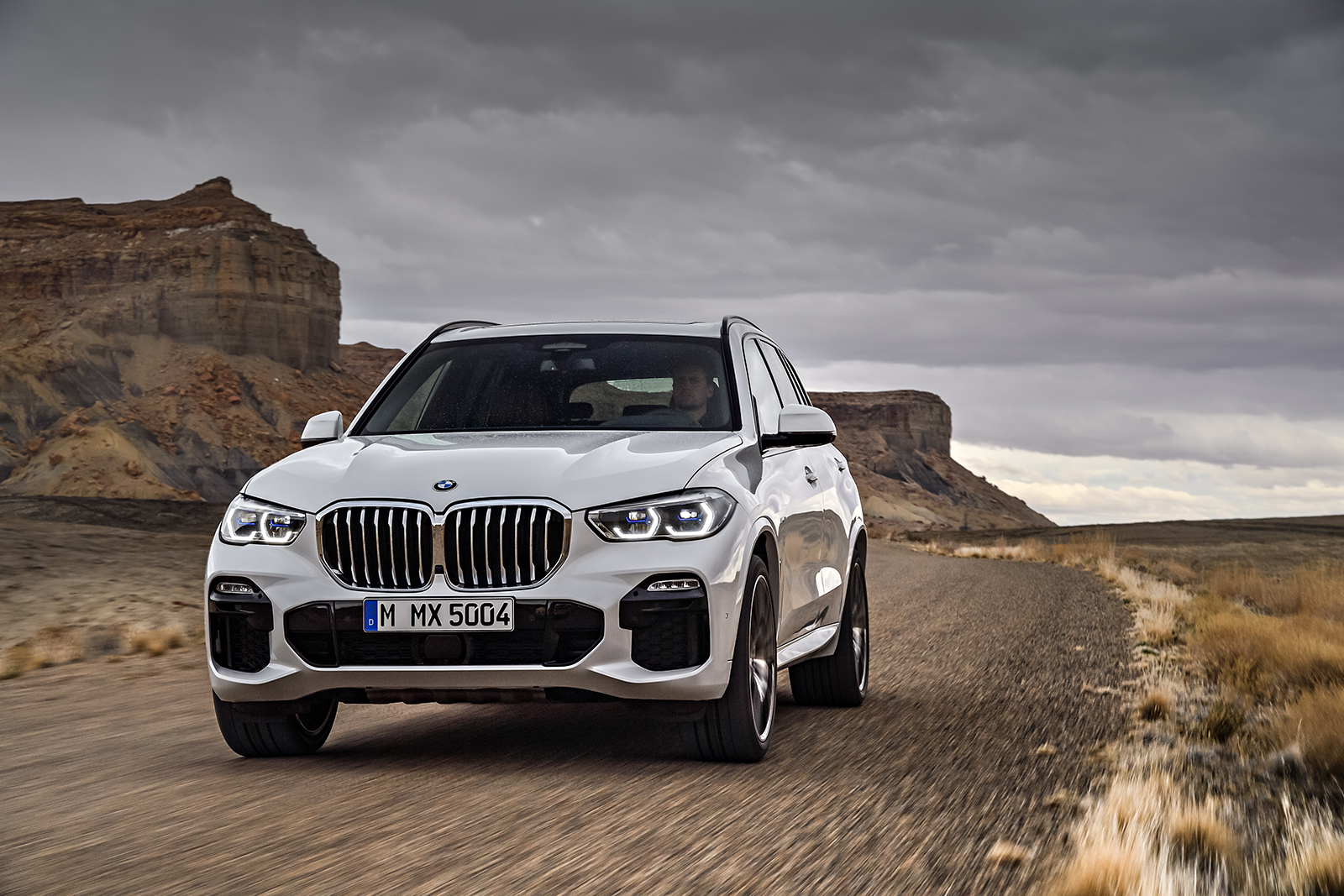 2019 bmw x5 details revealed  7