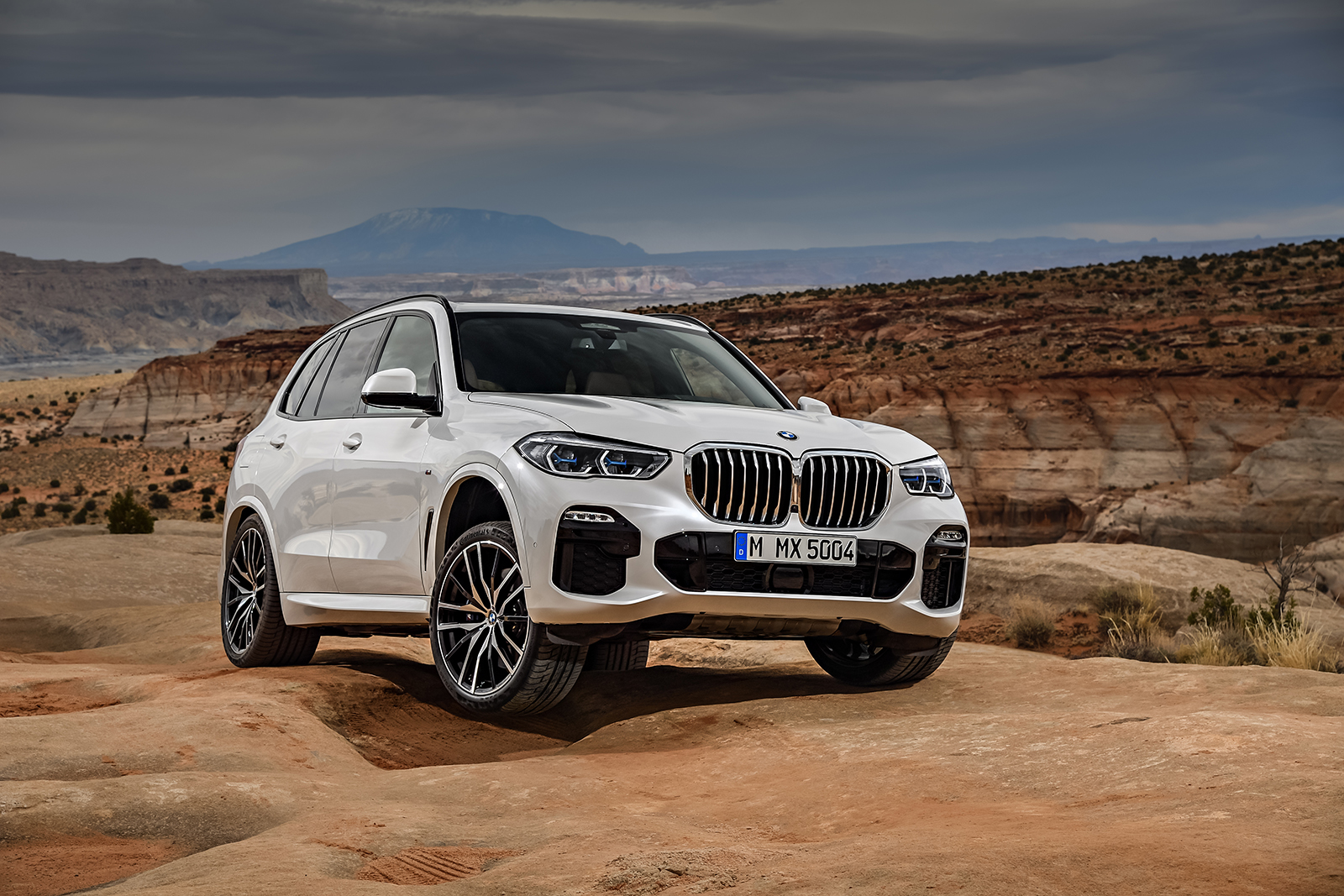 2019 bmw x5 details revealed  8