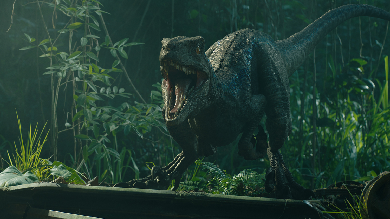 Jurassic World Fallen Kingdom