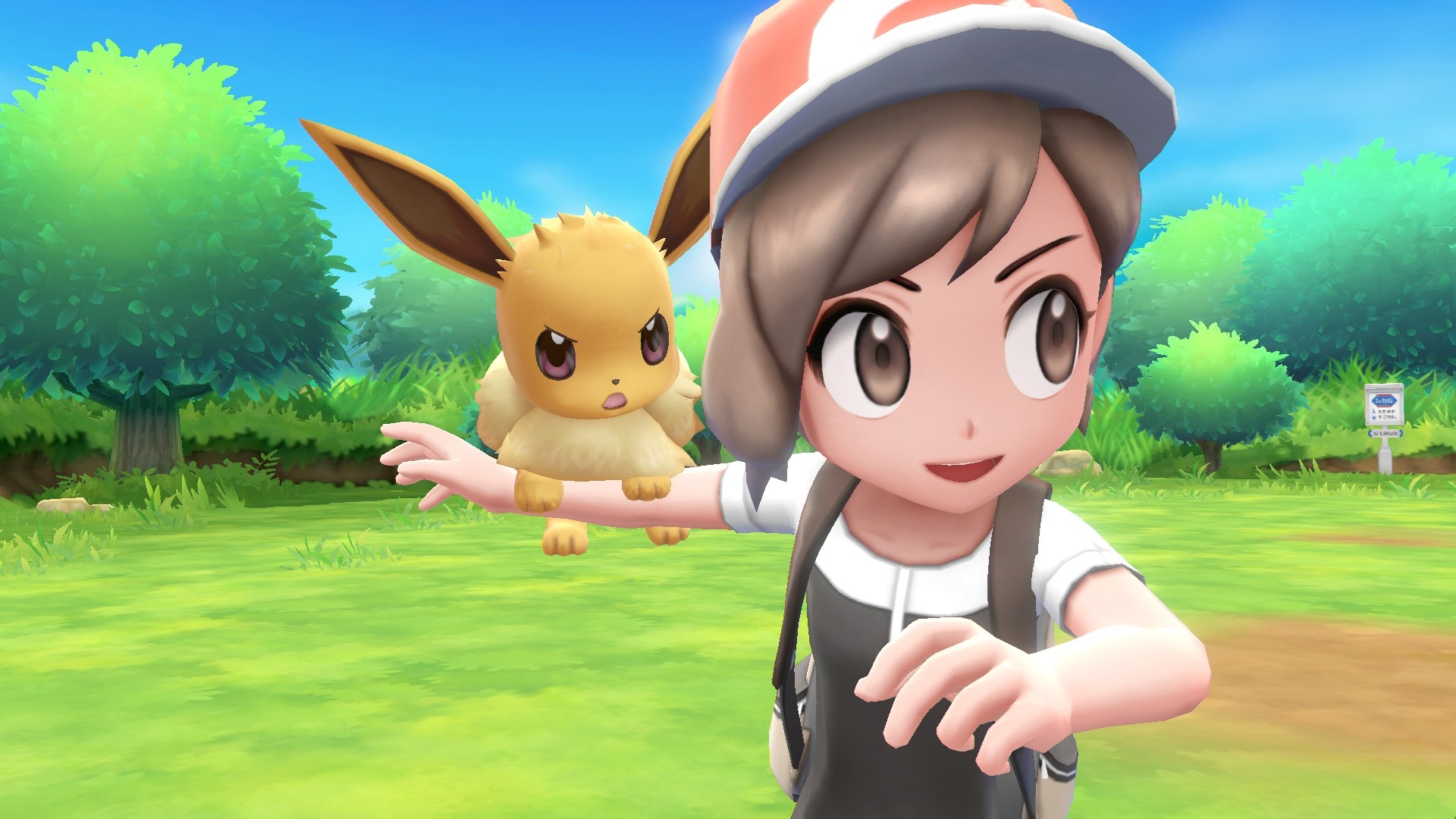 Pokemon Let's Go Pikachu Eevee q