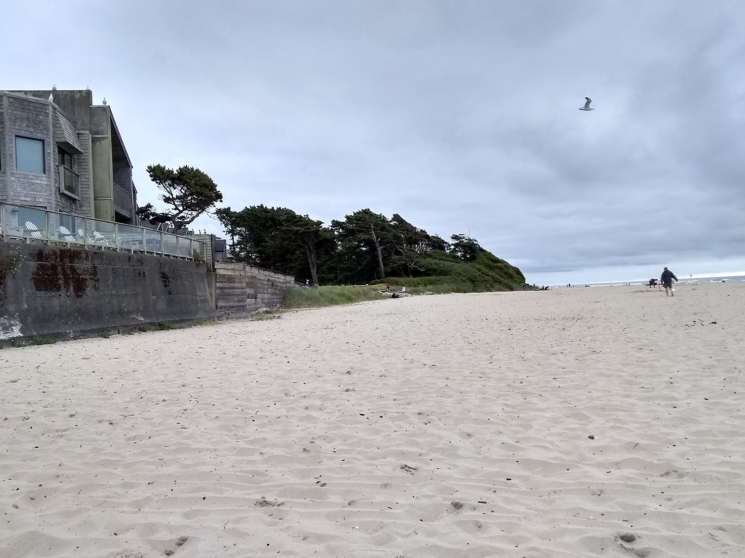 moto e5 play review camera samples beach hdr