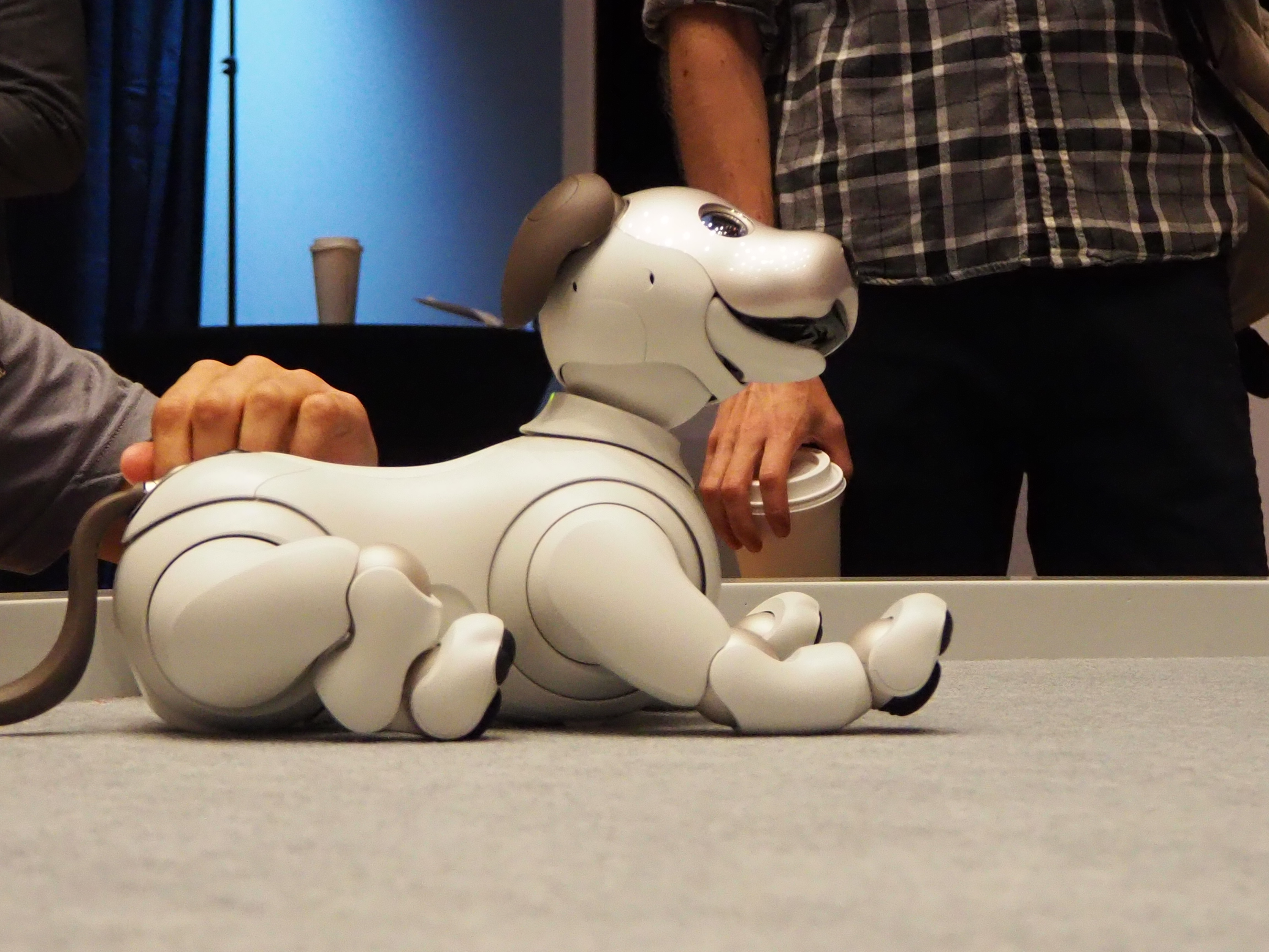 limited First Litter Edition Aibo