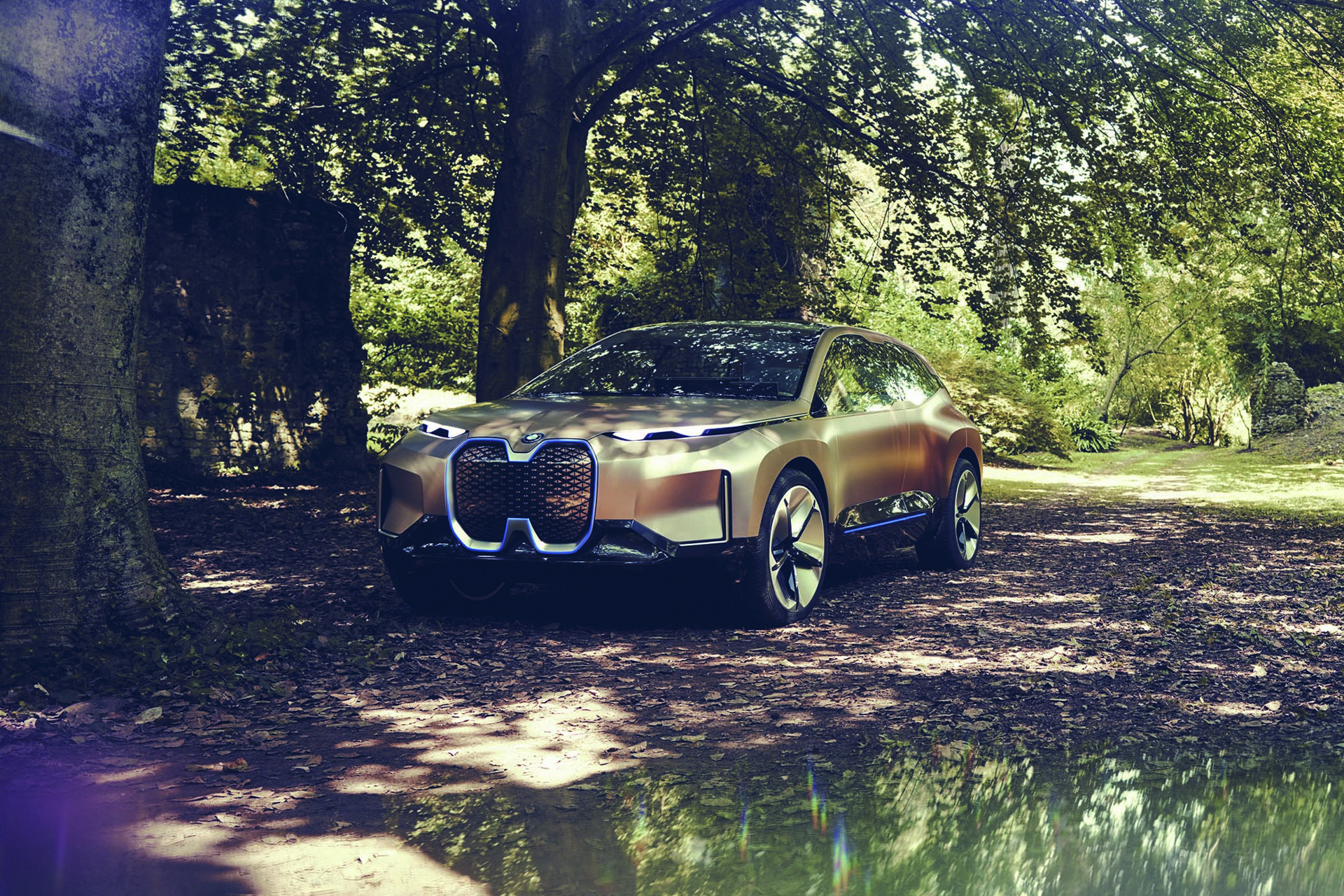 BMW Vision iNext