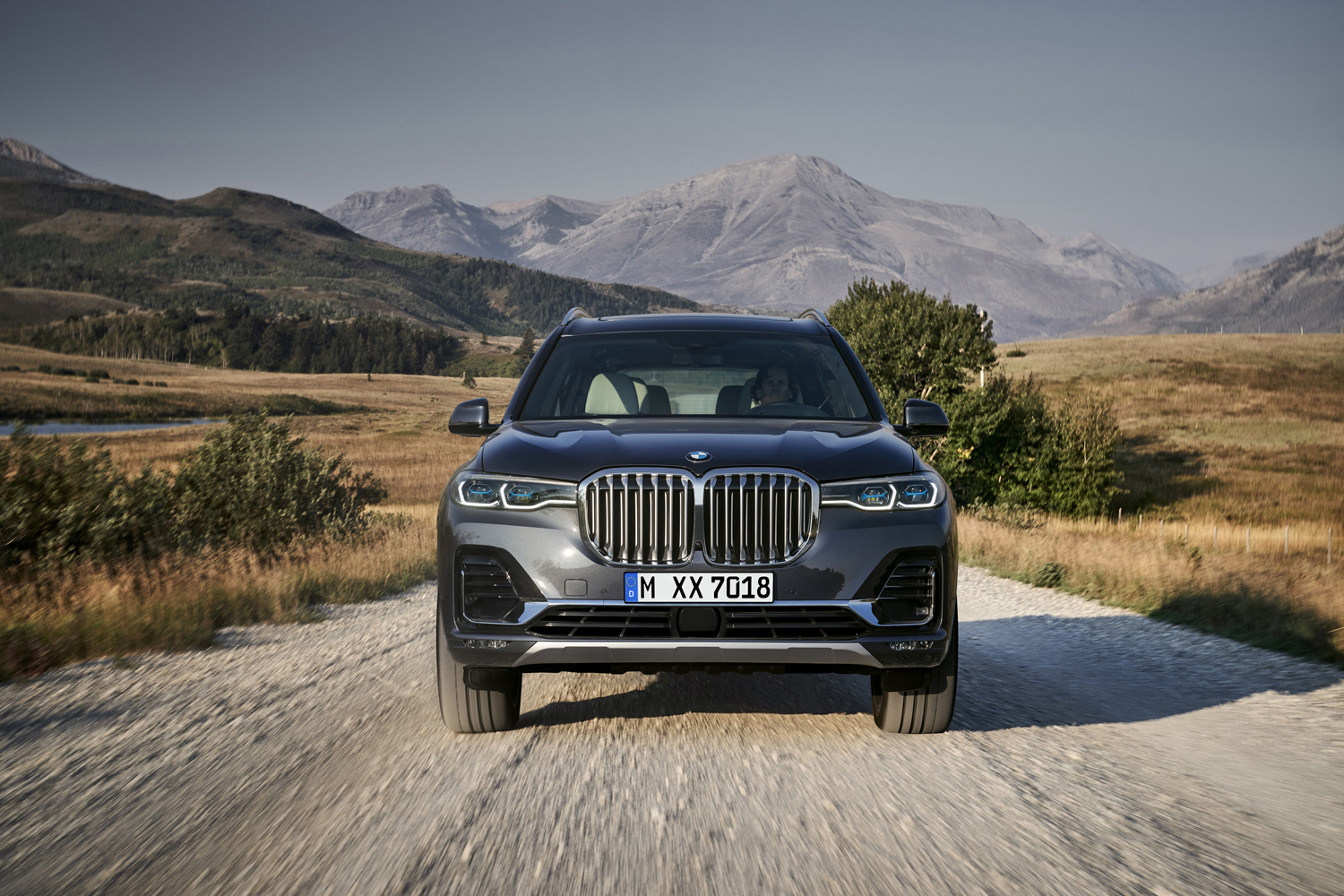 2019 BMW X7