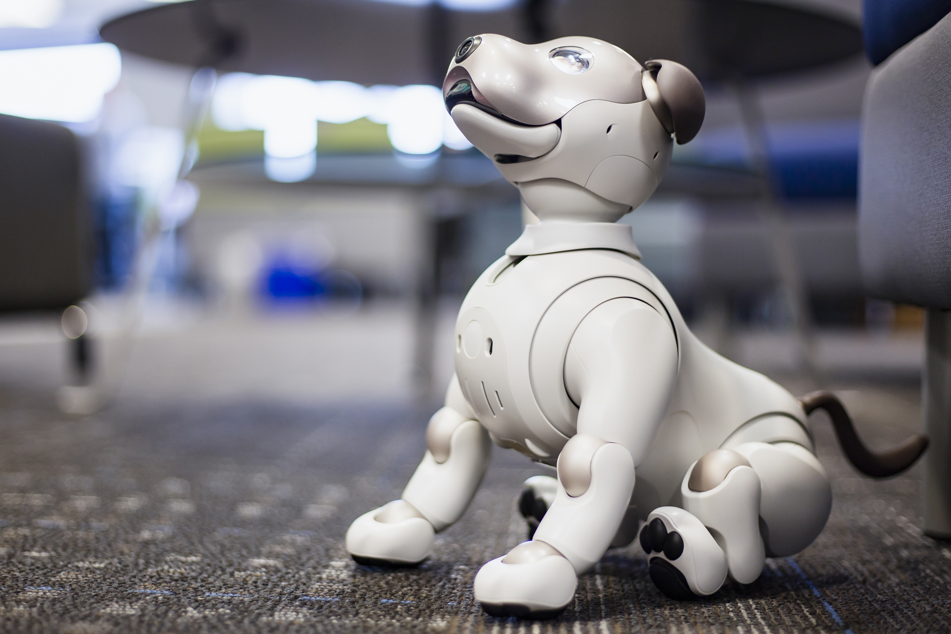 Sony Aibo Robot Dog