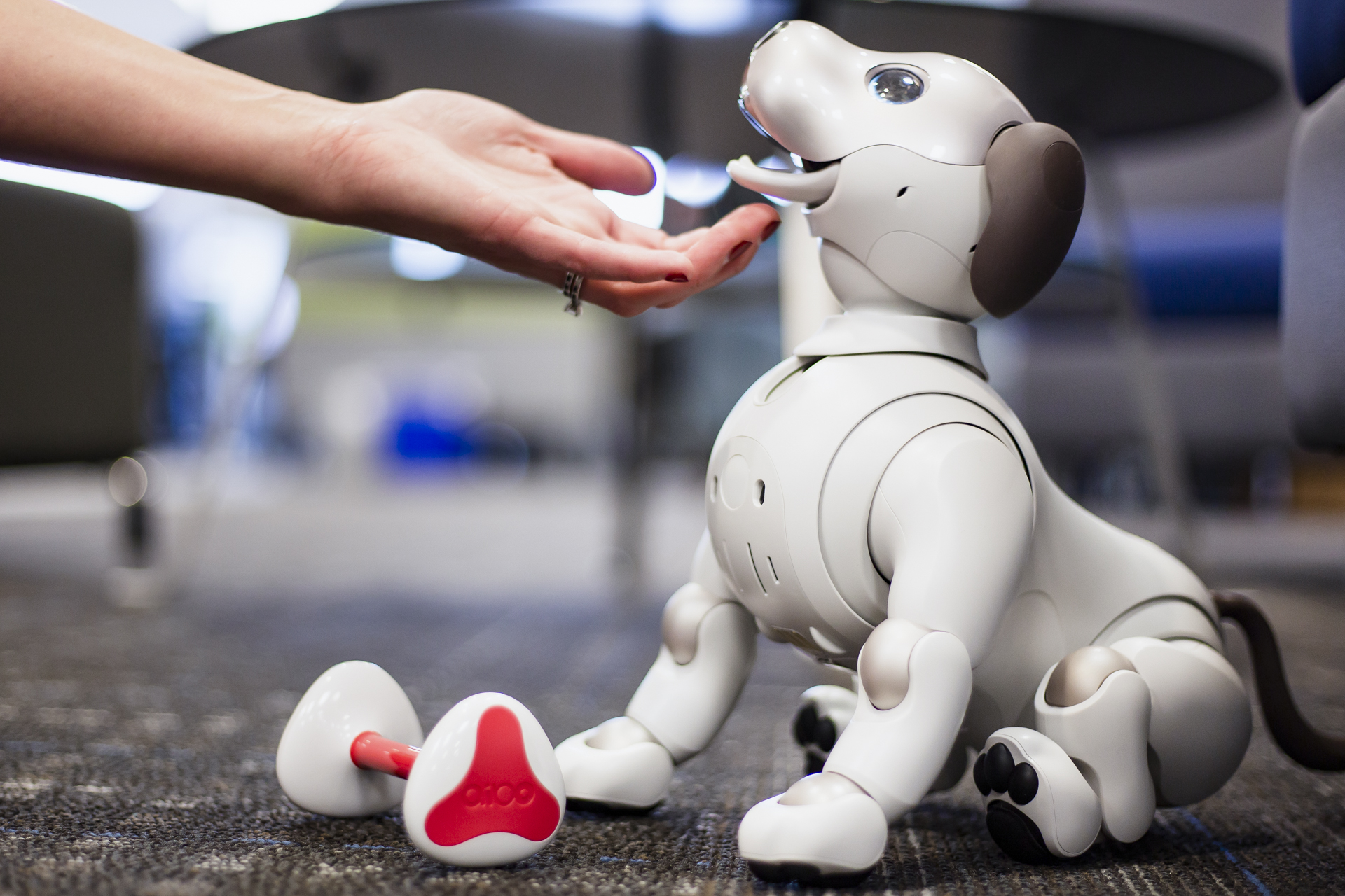 Sony Aibo Robot Dog