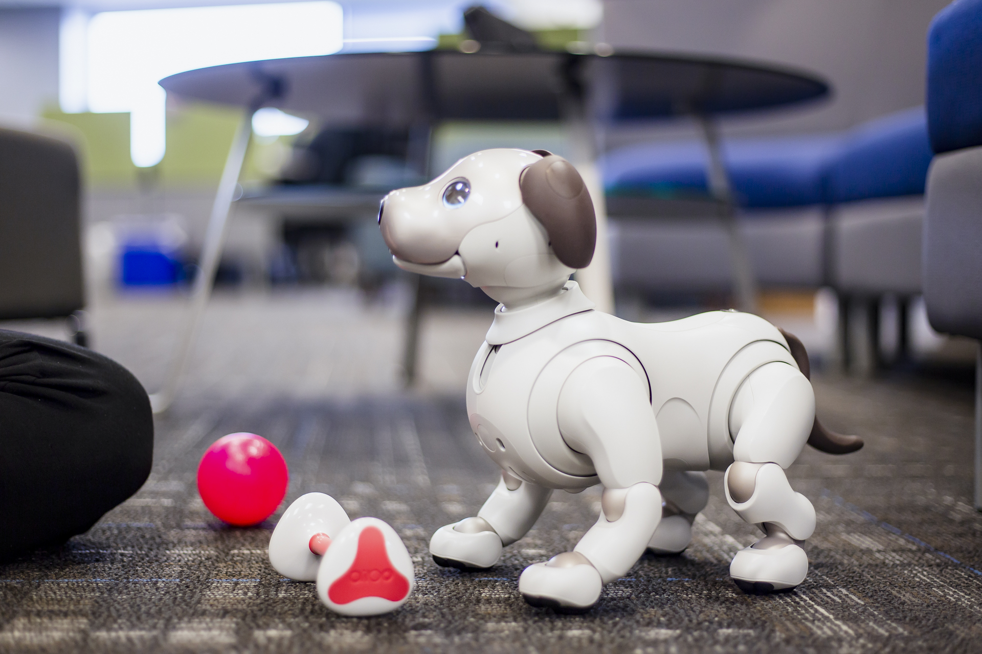 Sony Aibo Robot Dog