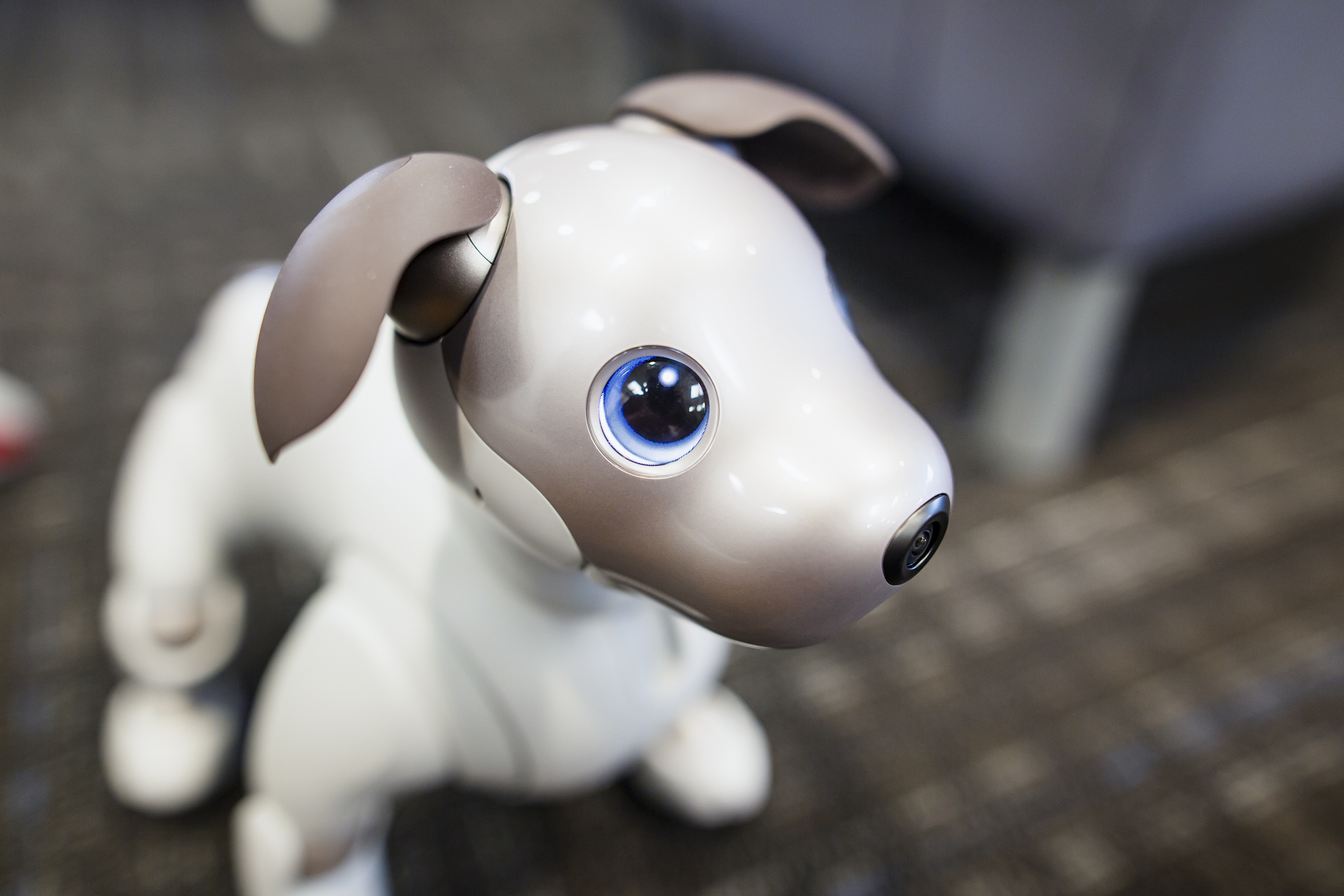 Sony Aibo Robot Dog