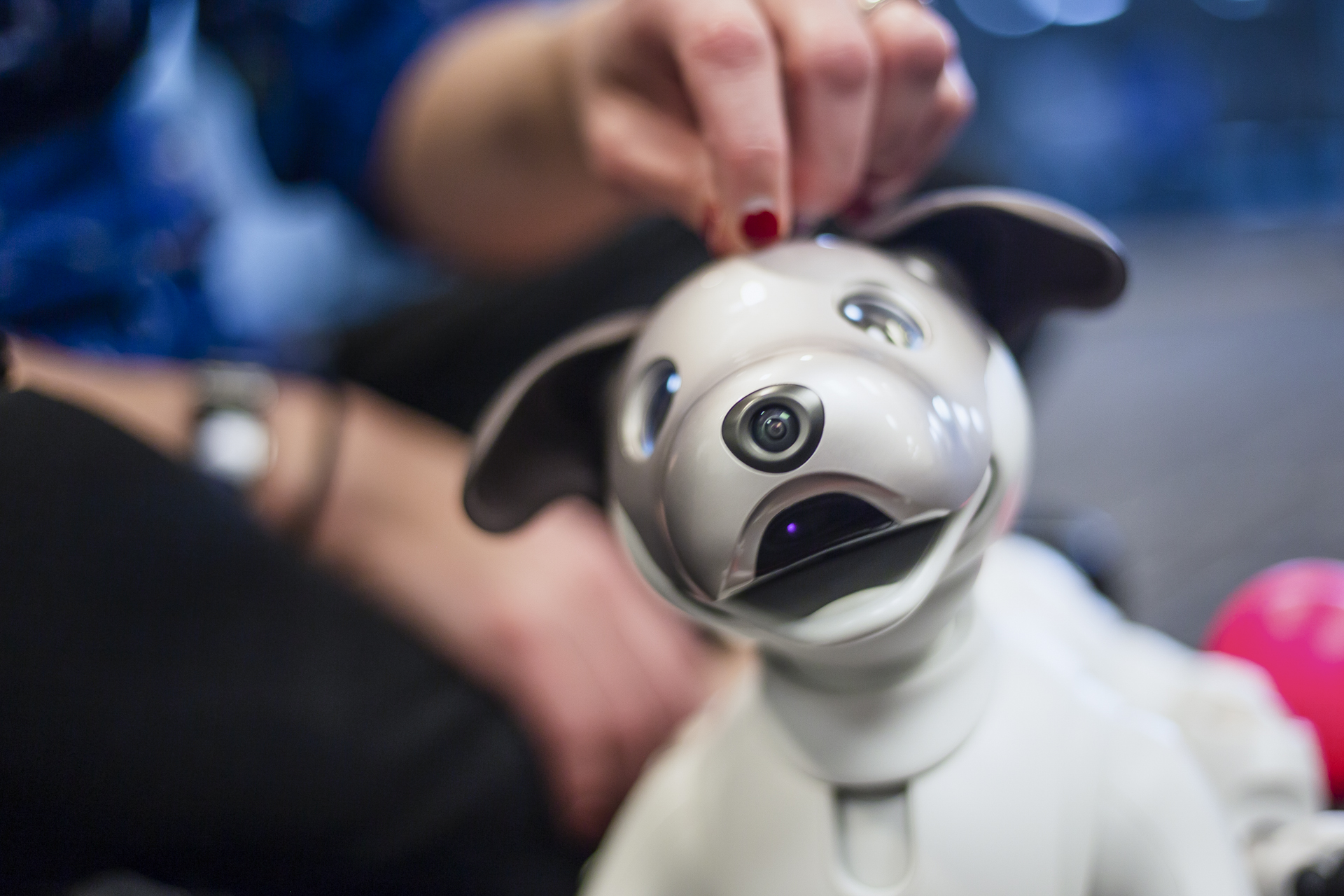 Sony Aibo Robot Dog