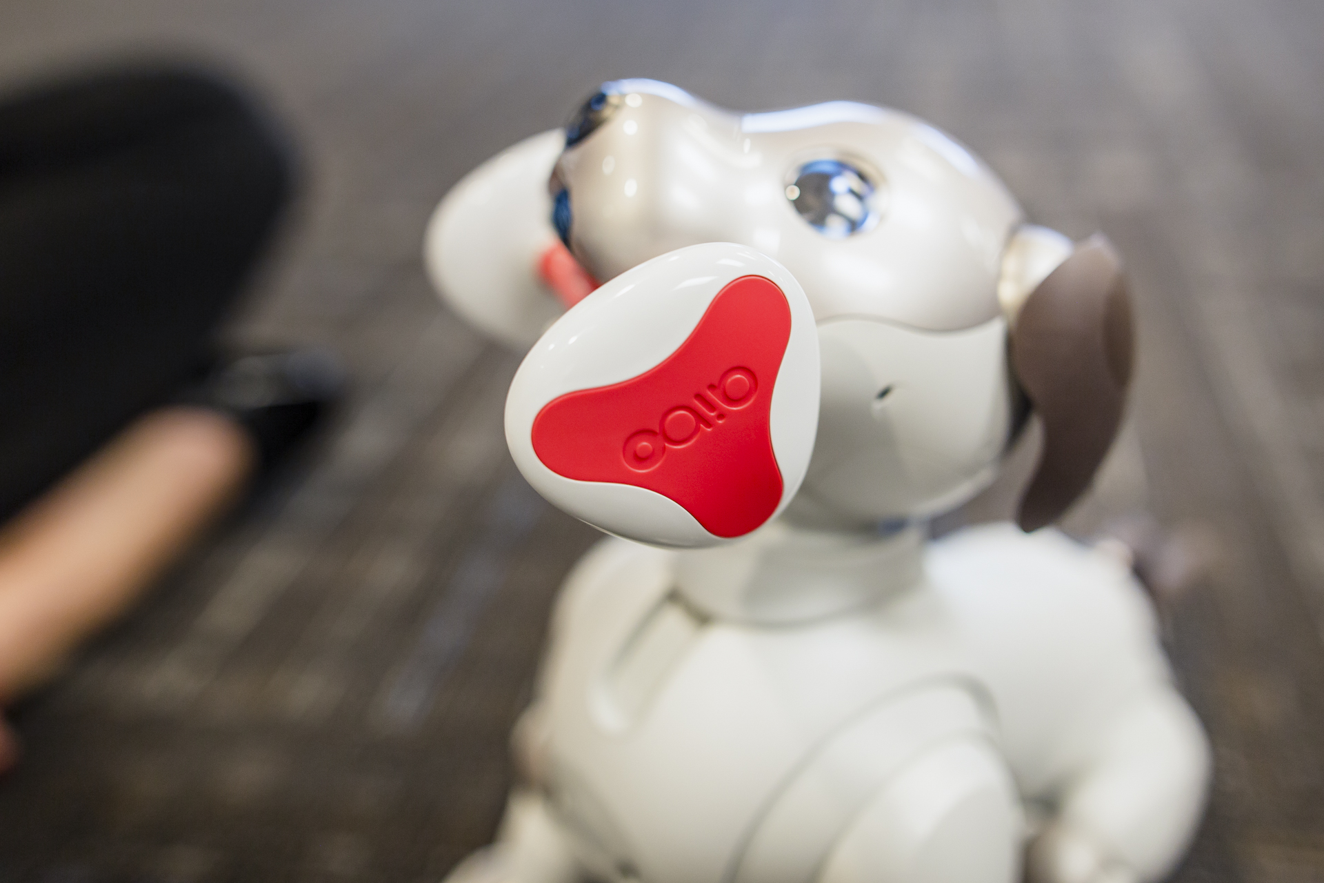 Sony Aibo Robot Dog