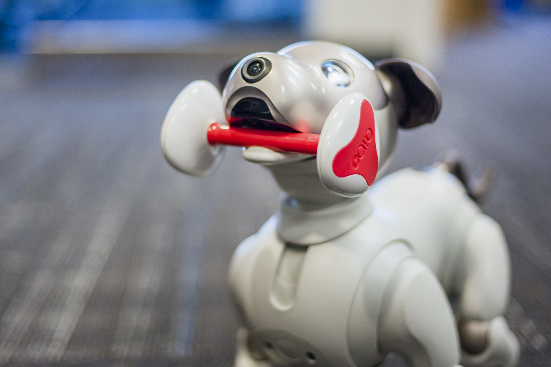 Sony Aibo Robot Dog