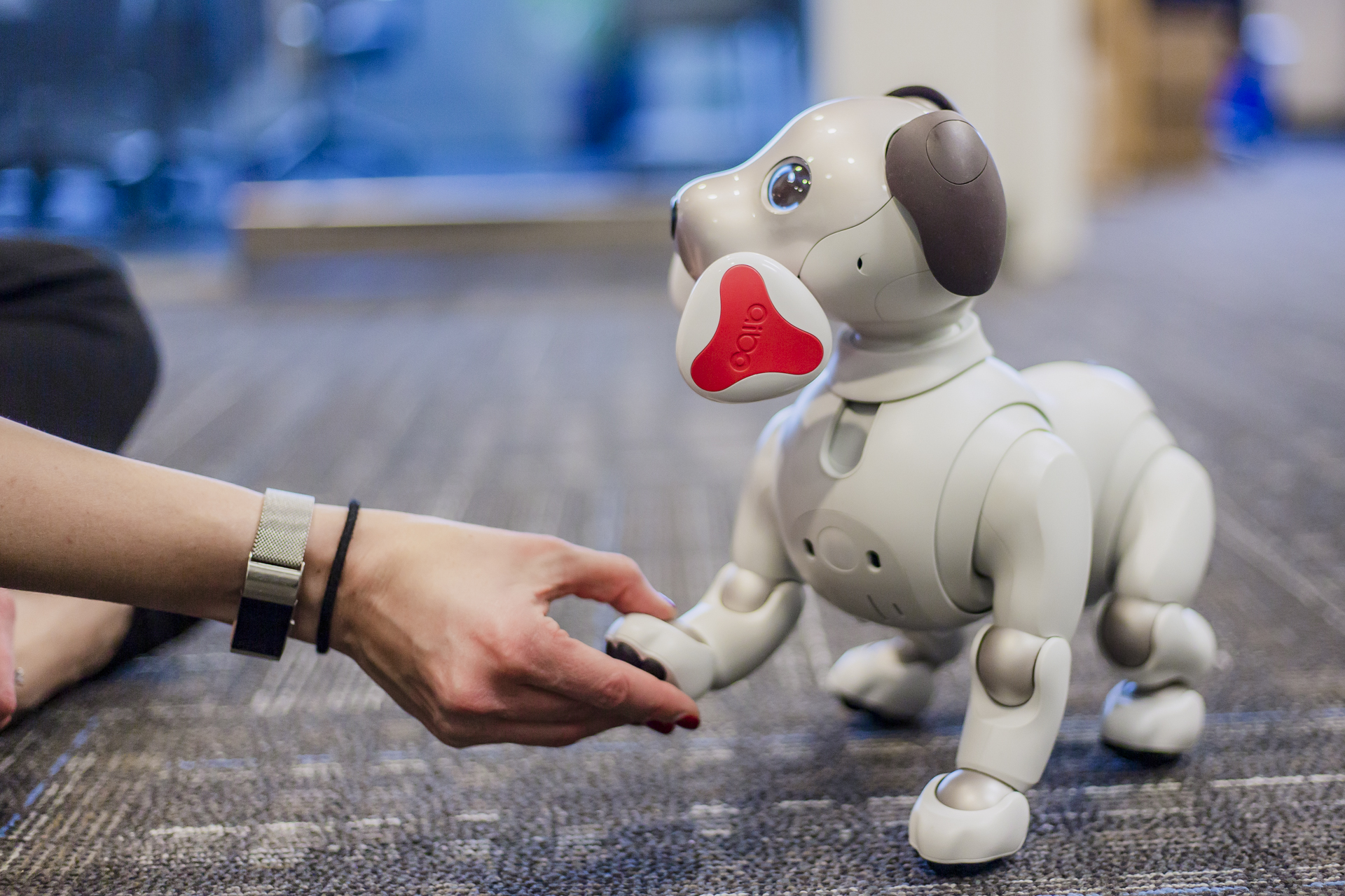 Sony Aibo Robot Dog