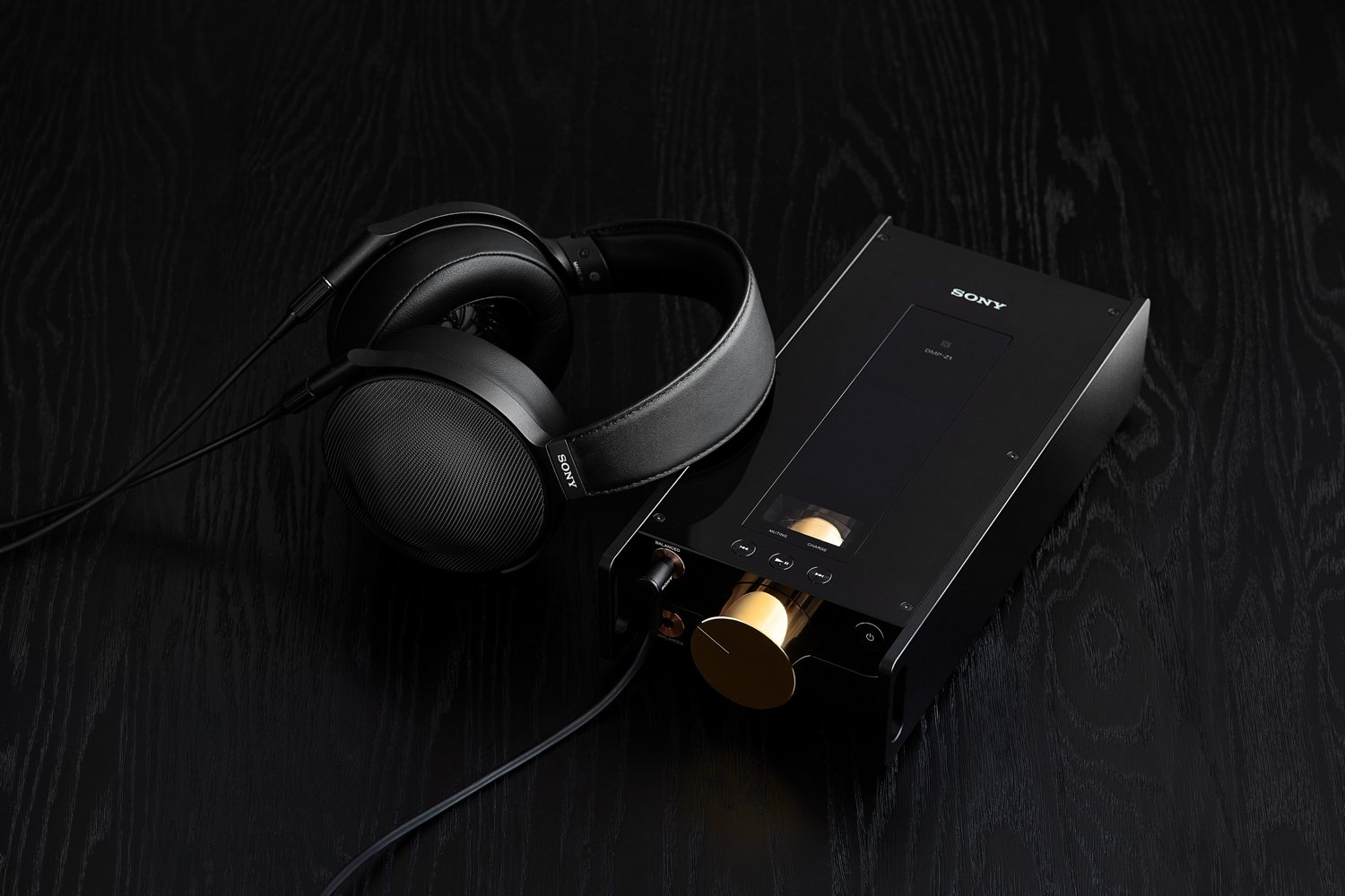 sony dmp z1 digital music player ier z1r in ears signature series 1