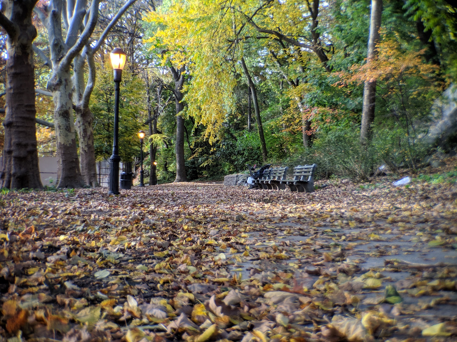 moment 58mm telephoto lens product impressions 60mm low leaves