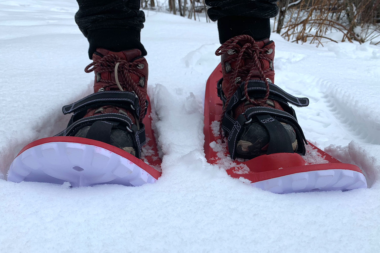 Crescent Moon Eva All-Foam V2 Snowshoe