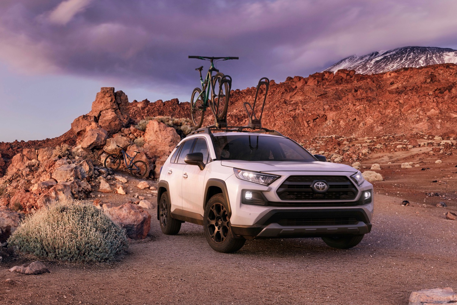 2020 Toyota RAV4 TRD Off-Road