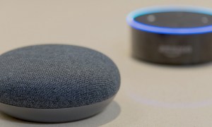 google assistant over amazon alexa homi mini v feat