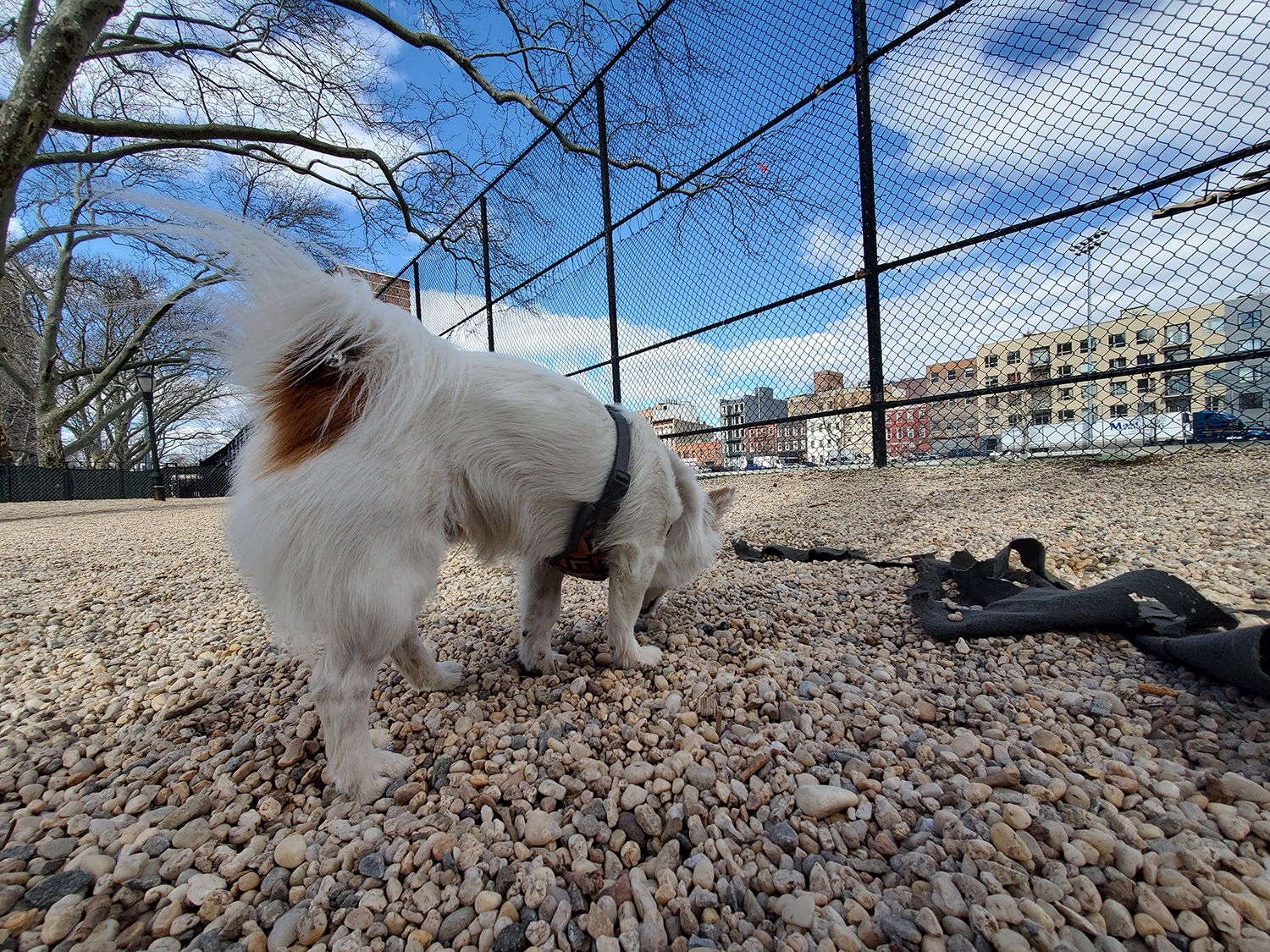 samsung galaxy s10e review camera wide angle lens daylight