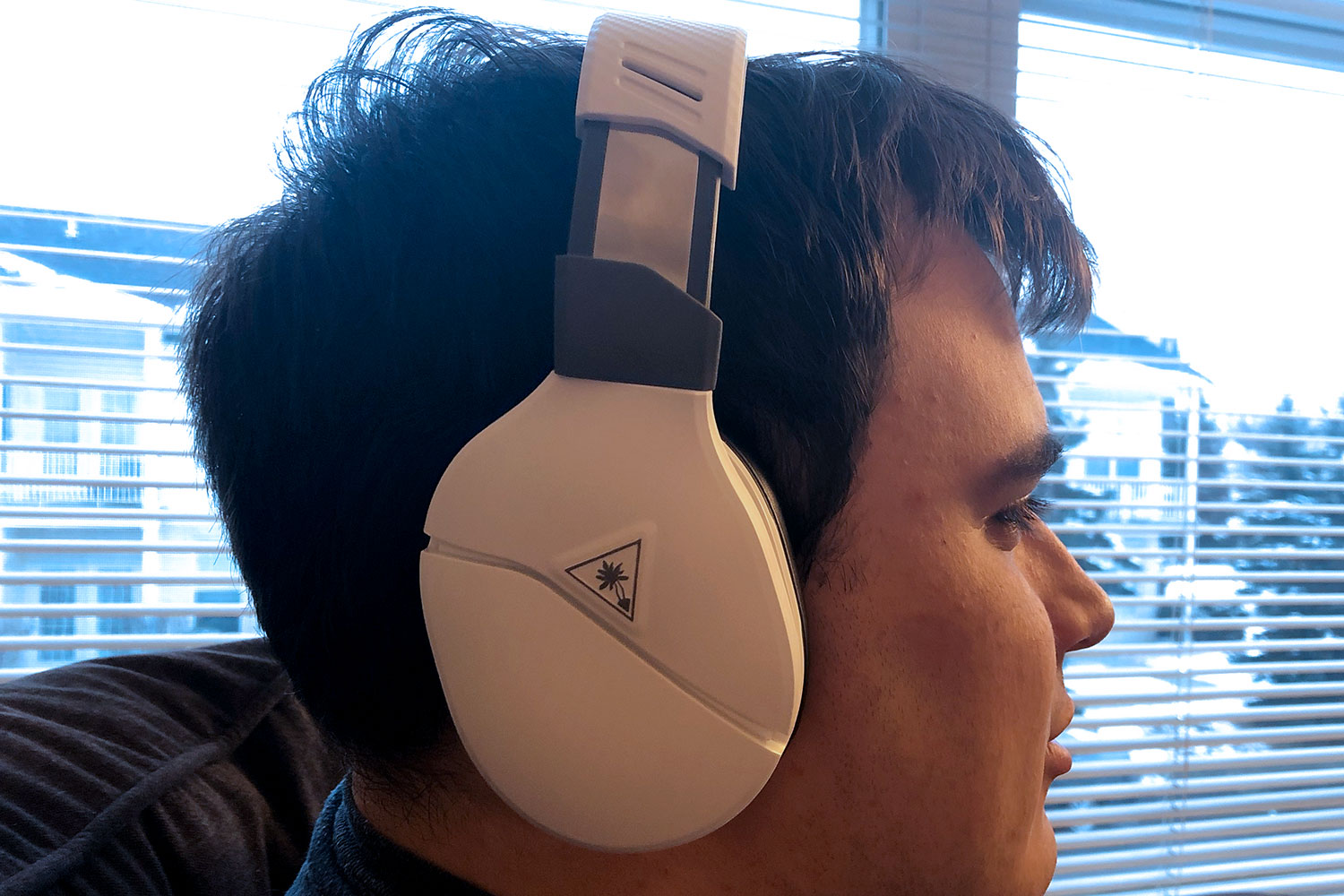 Turtle Beach Ear Force Recon 200 review