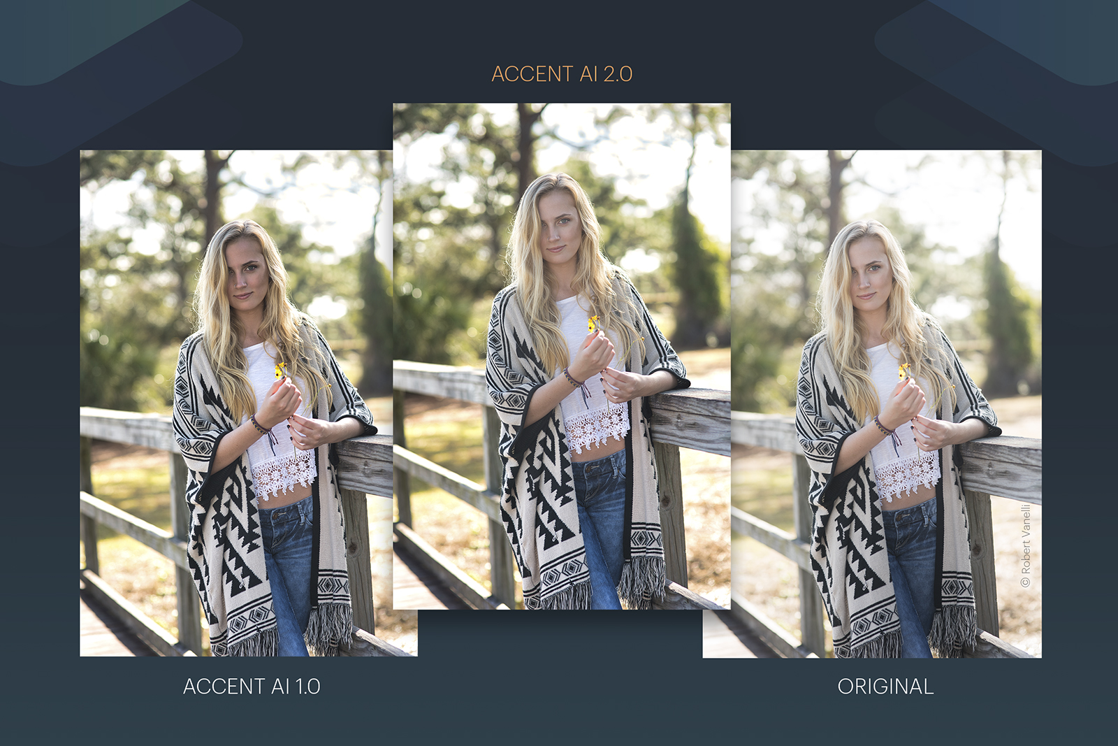 skylum luminar 3 accent ai updated luminaraccentai32019