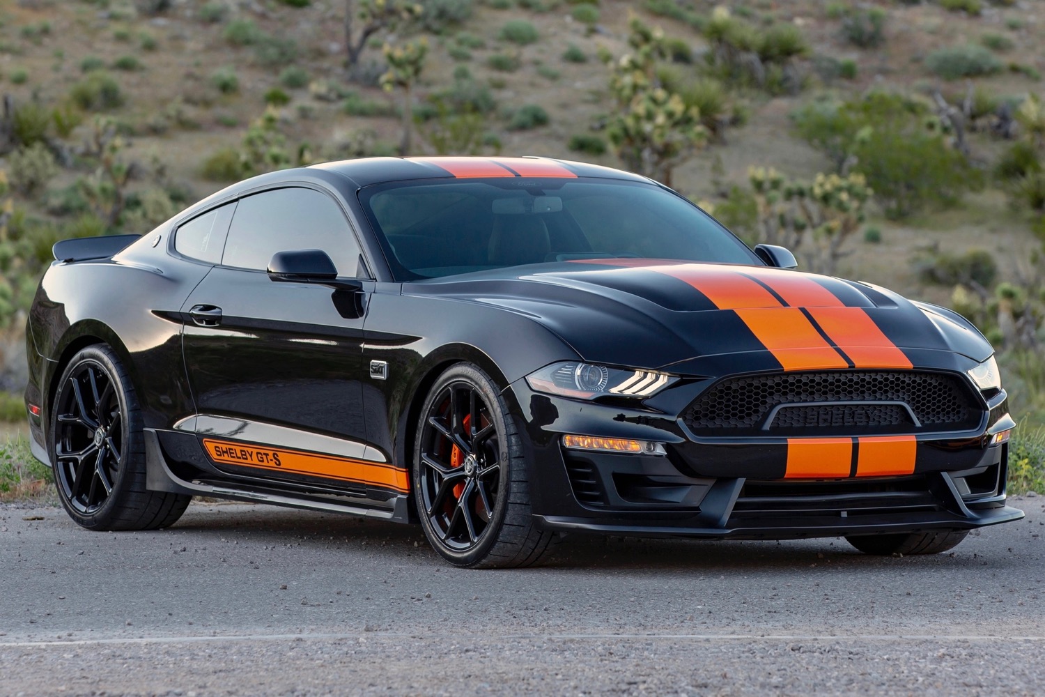 2019 Shelby GT-S Mustang Sixt rental car