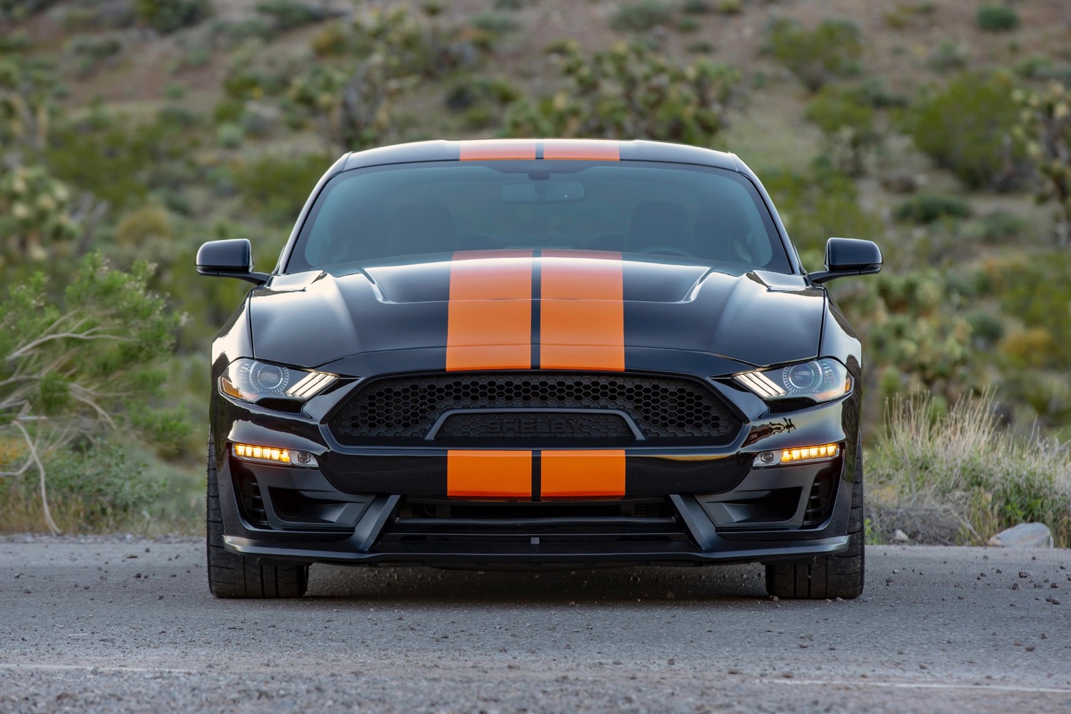 2019 Shelby GT-S Mustang Sixt rental car