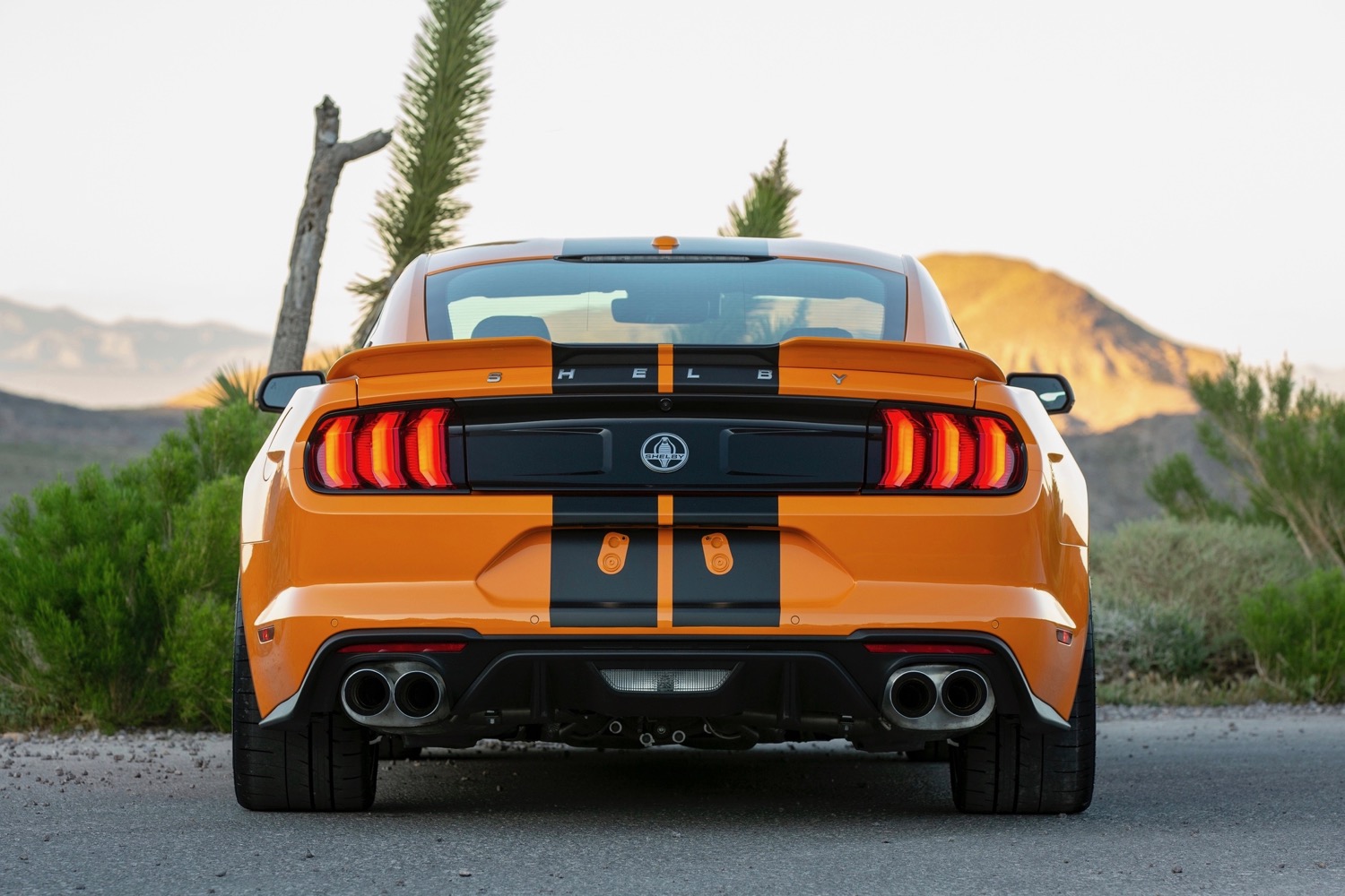 2019 Shelby GT-S Mustang Sixt rental car