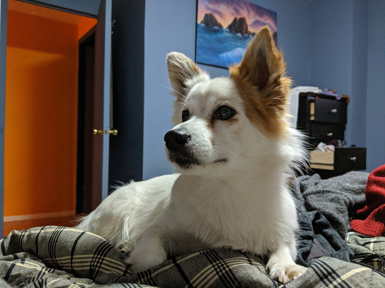 google pixel 3a review camera samples night sight 2