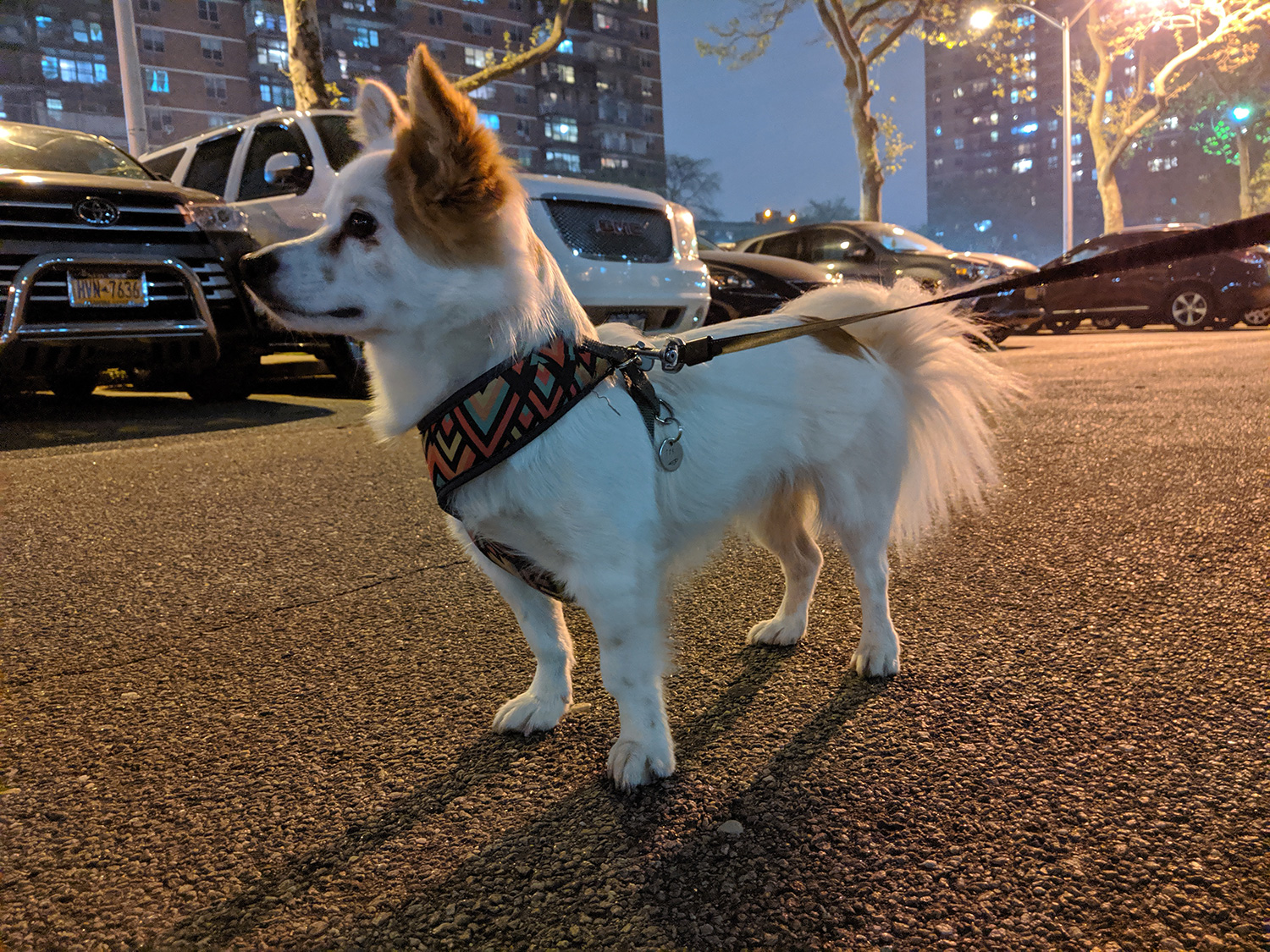 google pixel 3a review camera samples night sight 3