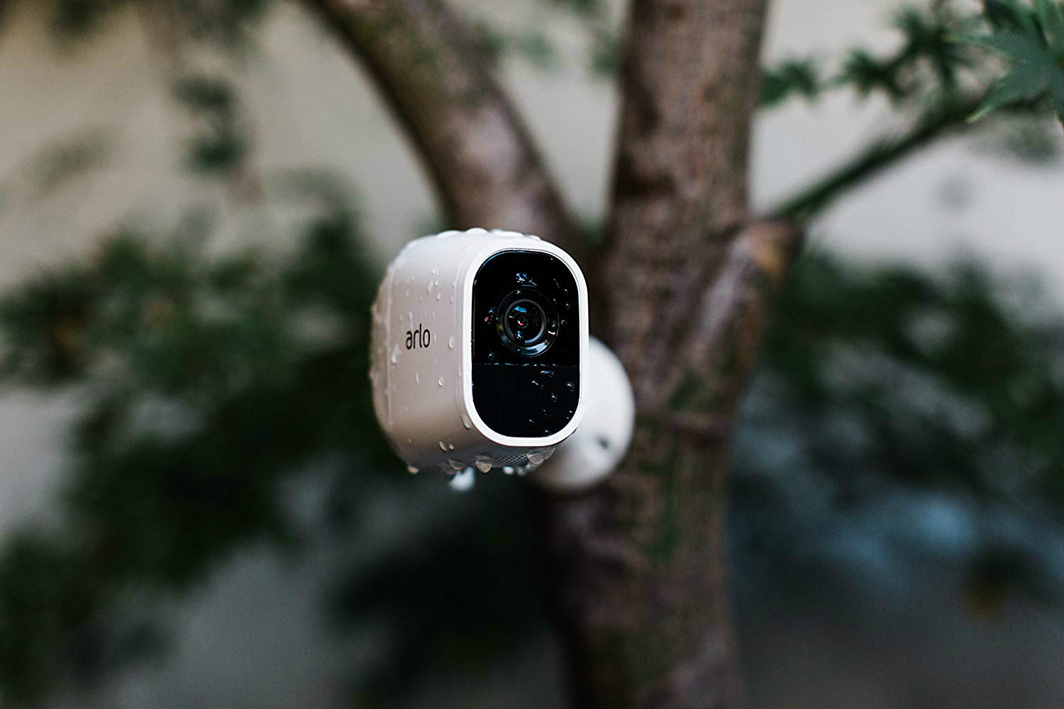 Arlo security camera.