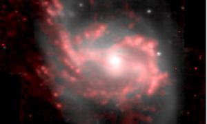 jellyfish galaxy black hole 205231 web 1